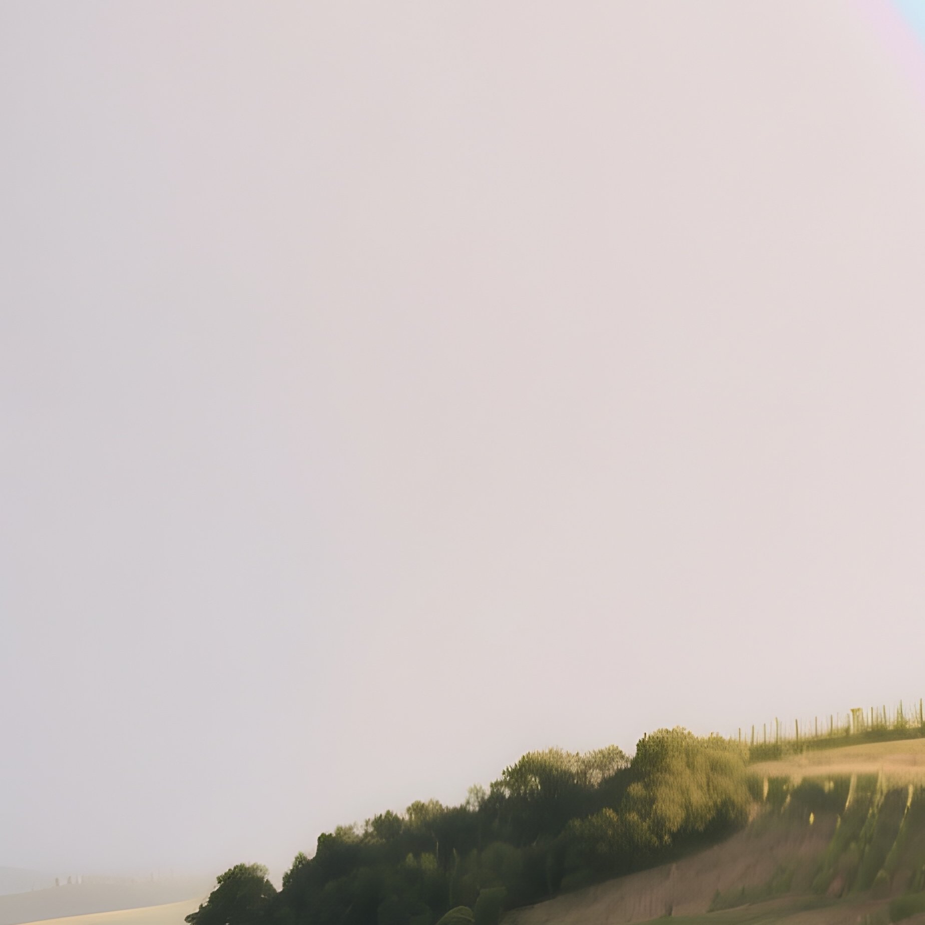A Rainbow Stretching Over A Vineyard On A Hillside - Full Resolution Quality Preview