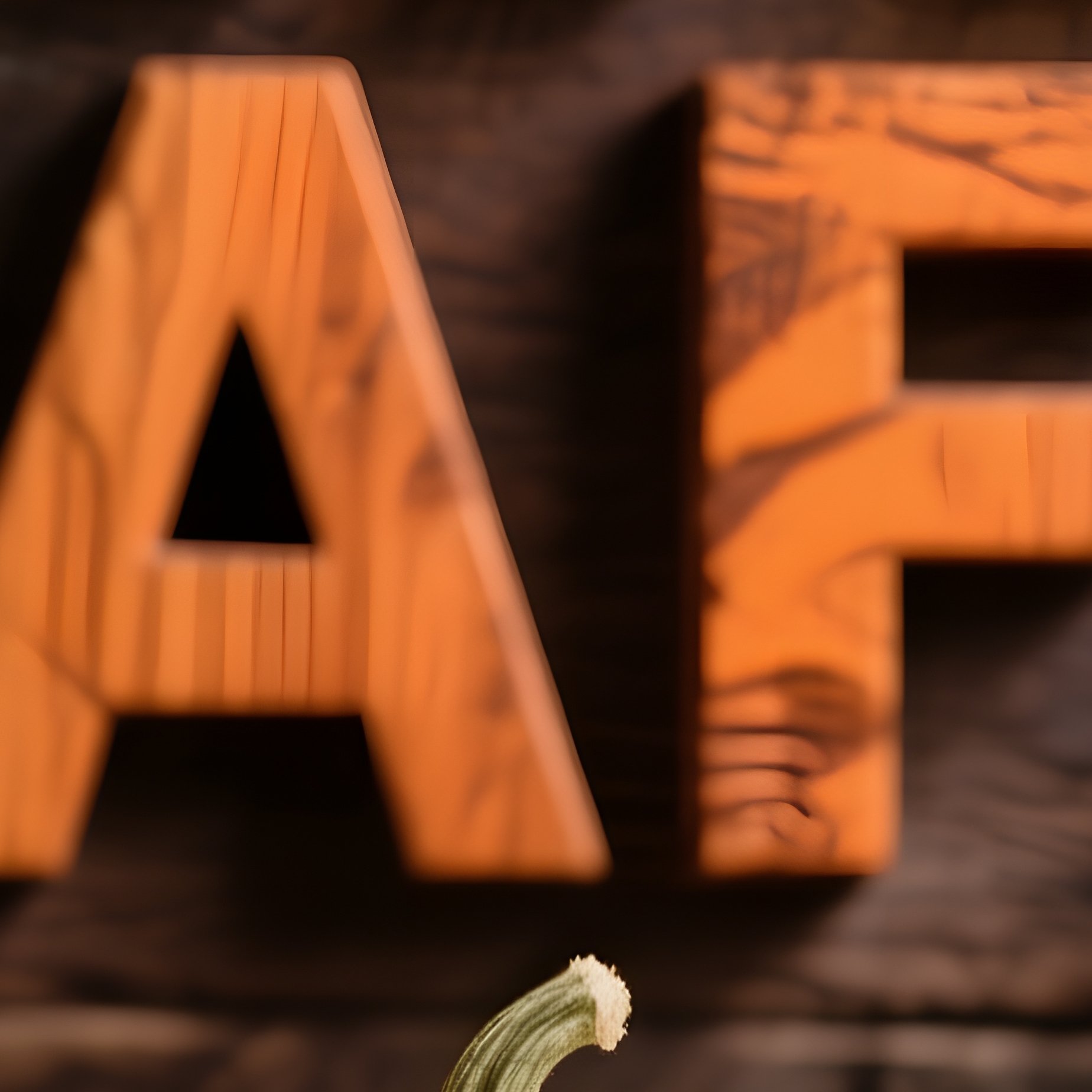 A Row Of Pumpkins And Gourds Pumpkins Gourds - Full Resolution Quality Preview