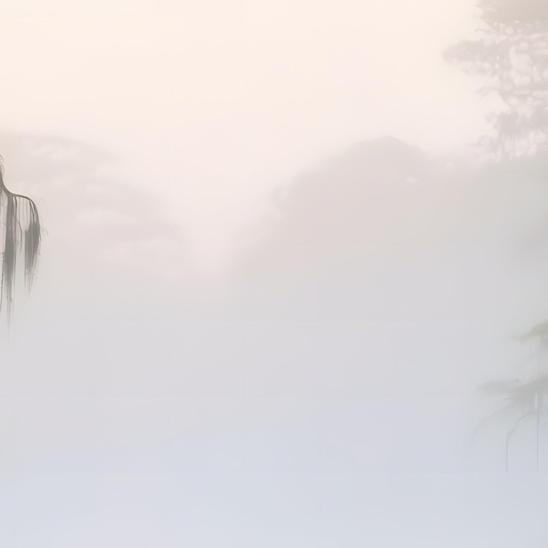 A Serene Early Morning Mist Over The Everglades, Cypress Trees Rising From Water, Herons Wading, - Full Resolution Quality Preview