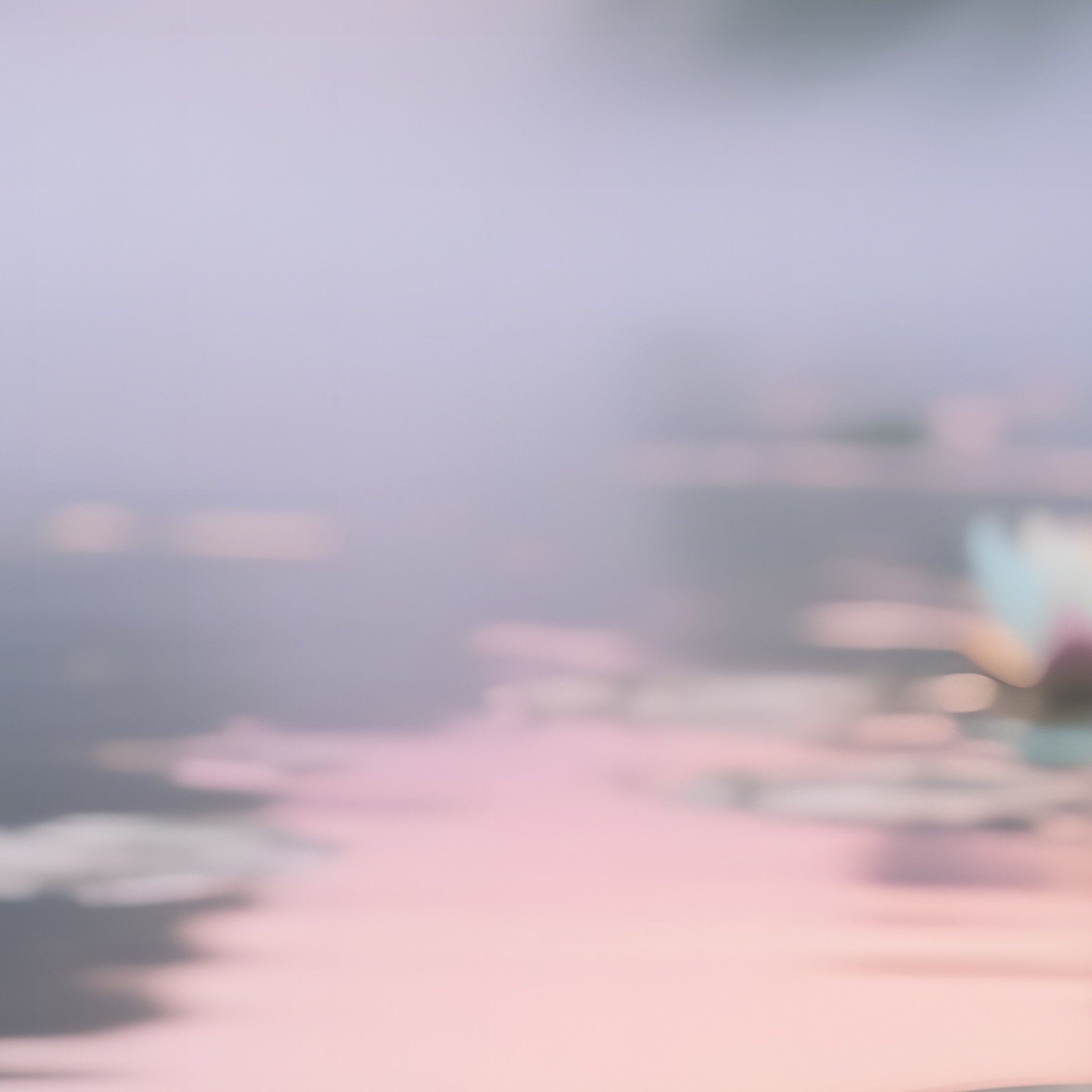 A Serene Pond At Dawn Where Floating Pop‑Art Lotuses Glow In Soft Pastel Gradients, Mist Rising Off - Full Resolution Quality Preview
