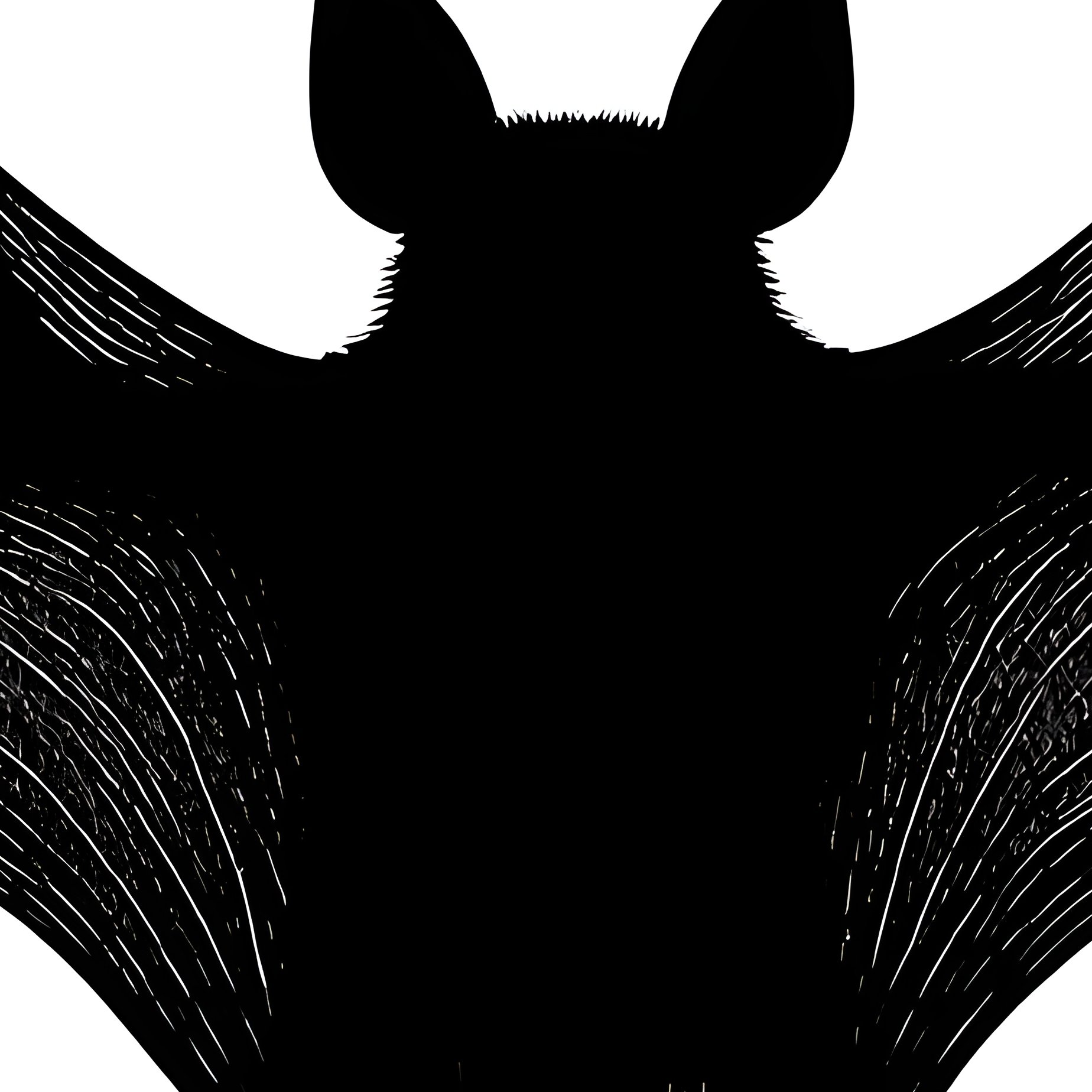 A Silhouette Of A Bat In Flight Bat Silhouette - Full Resolution Quality Preview