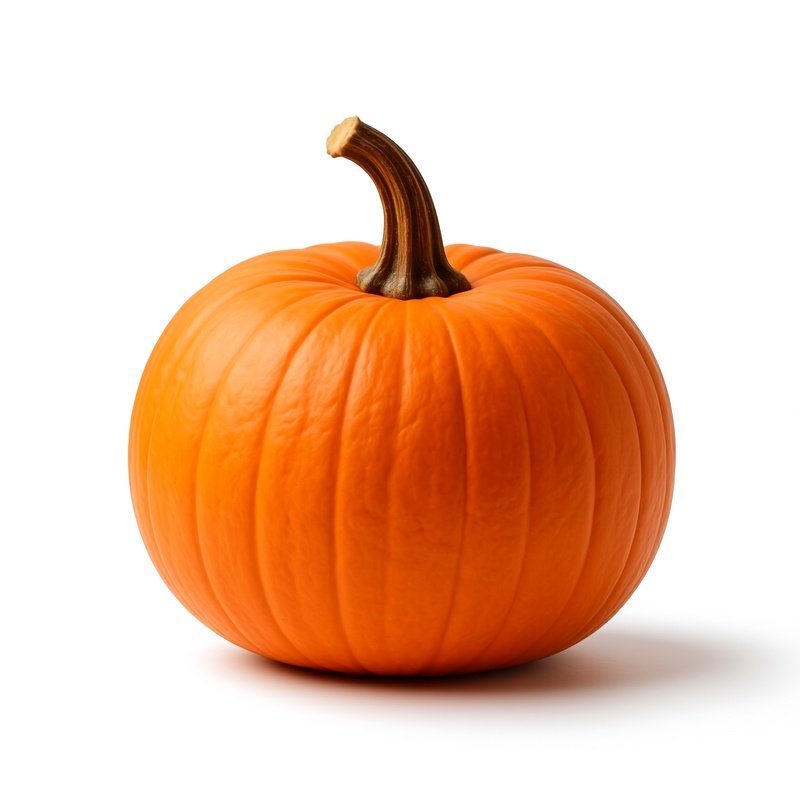 A Single Orange Pumpkin Pumpkin Orange