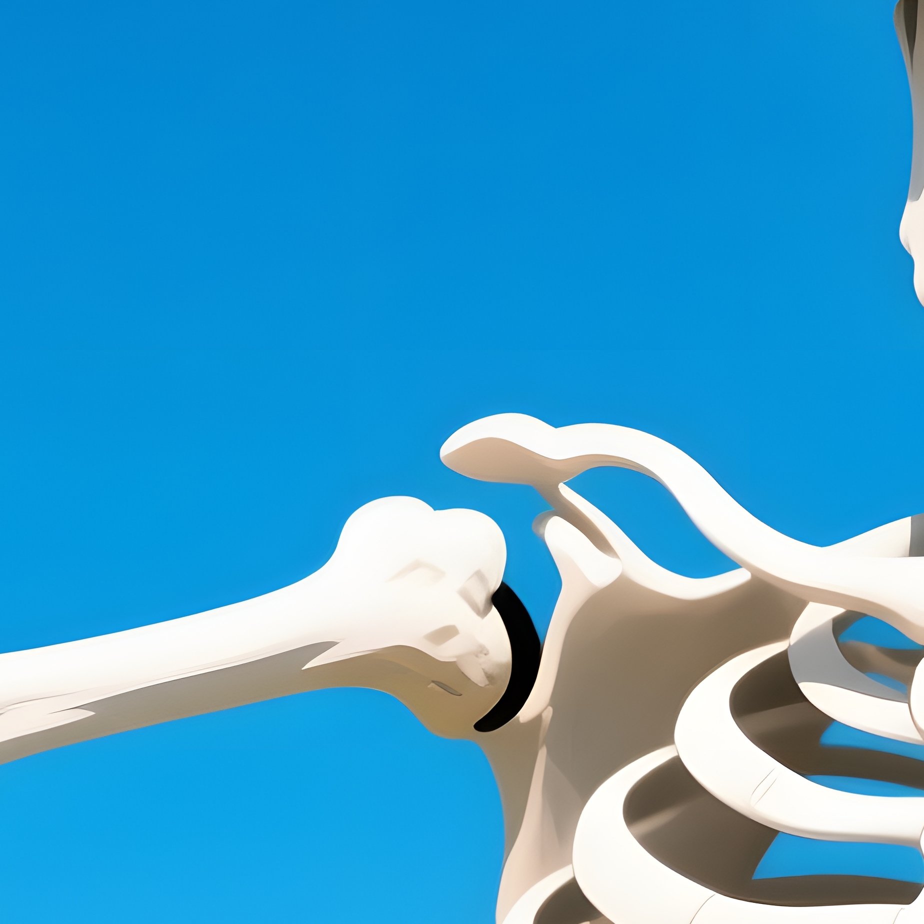 A Skeleton Taking A Selfie Skeleton Selfie - Full Resolution Quality Preview