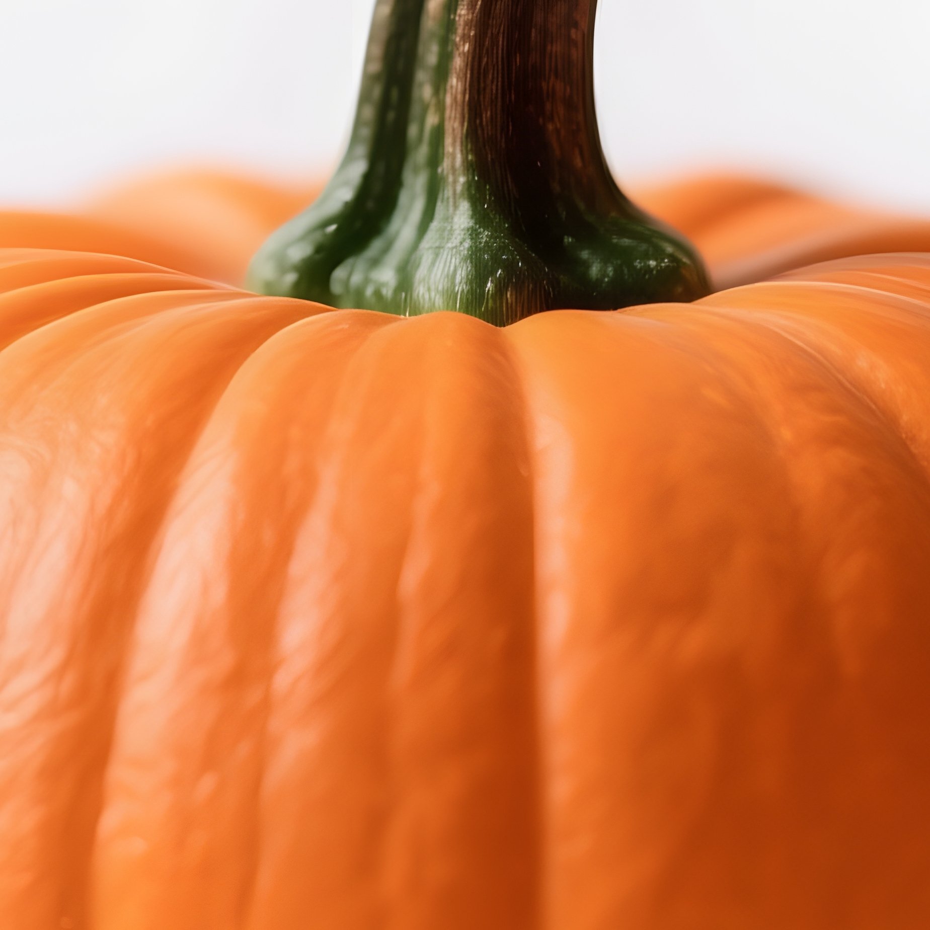 A Small Pumpkin Pumpkin Orange - Full Resolution Quality Preview