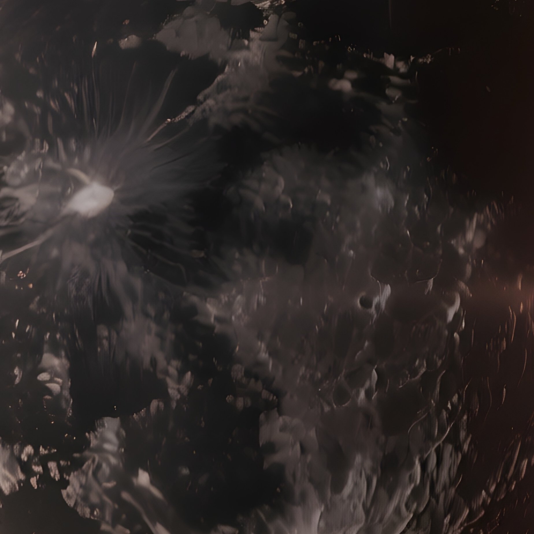 A Solar Eclipse Corona Flaring Around The Darkened Moon. - Full Resolution Quality Preview