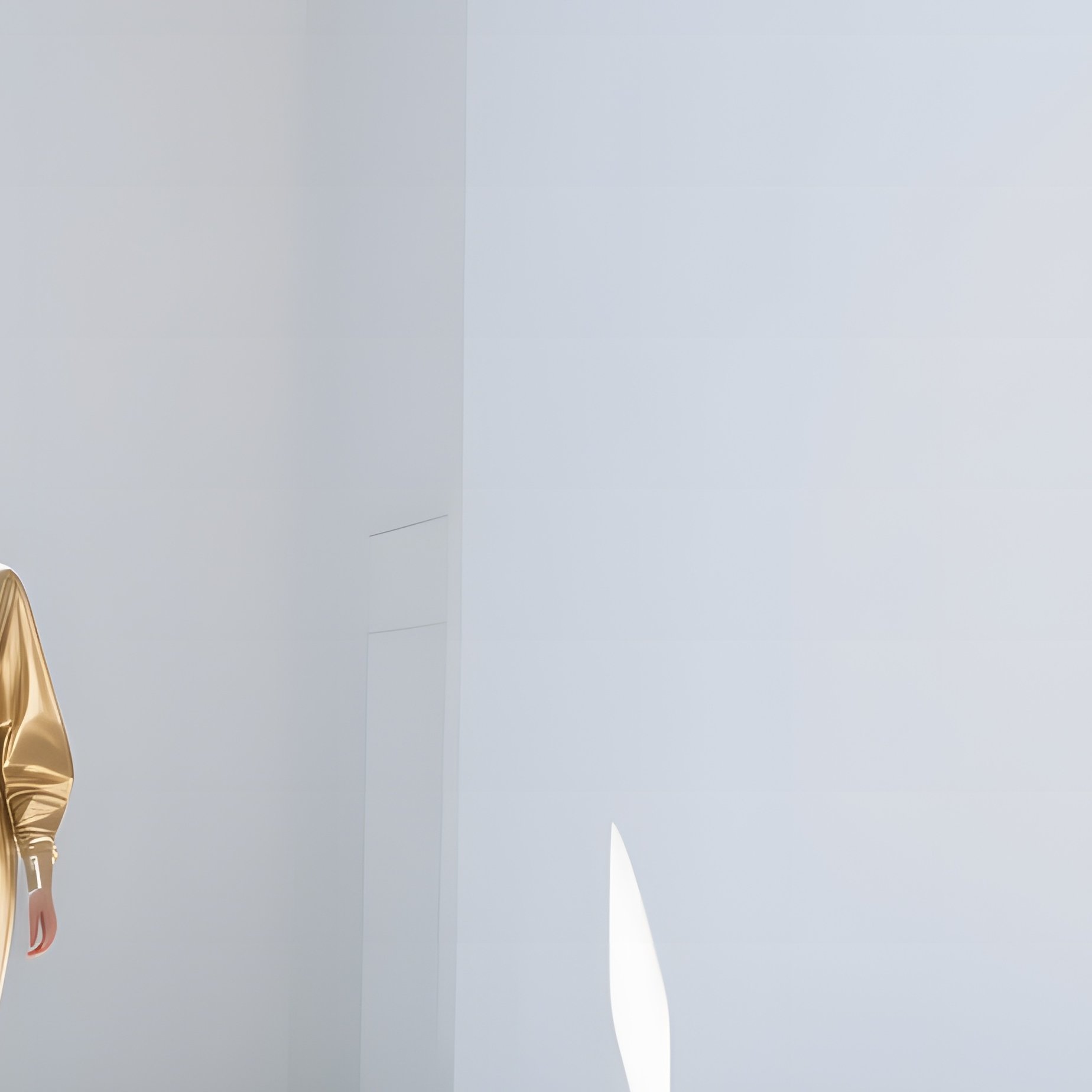 A Sun Filled Studio With Large White Walls A Suspended Wire Mesh Runway And Models Wearing - Full Resolution Quality Preview