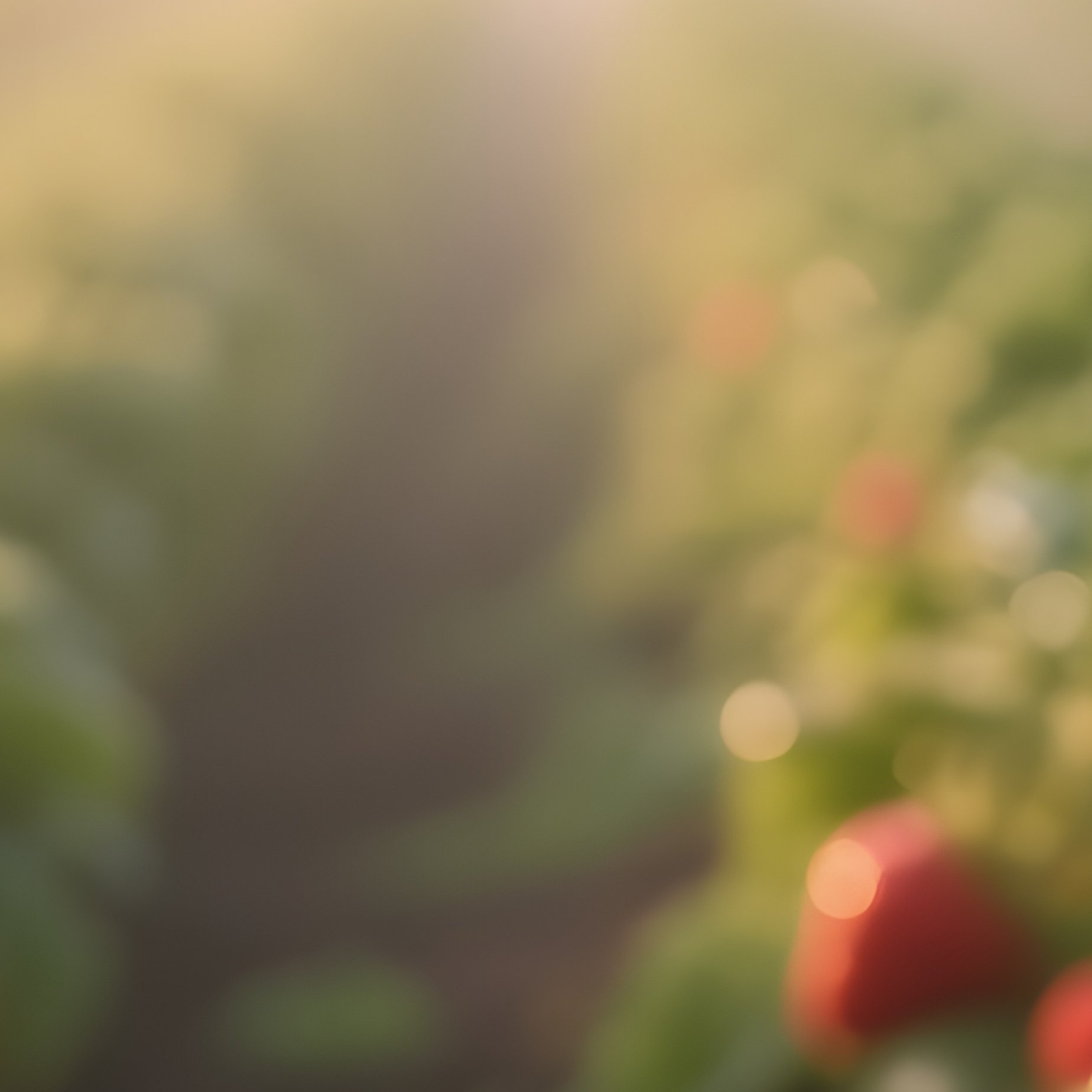 A Sunlit Strawberry Field At Dawn, Dewdrops Glistening On Ripe Red Berries, Soft Golden Light - Full Resolution Quality Preview