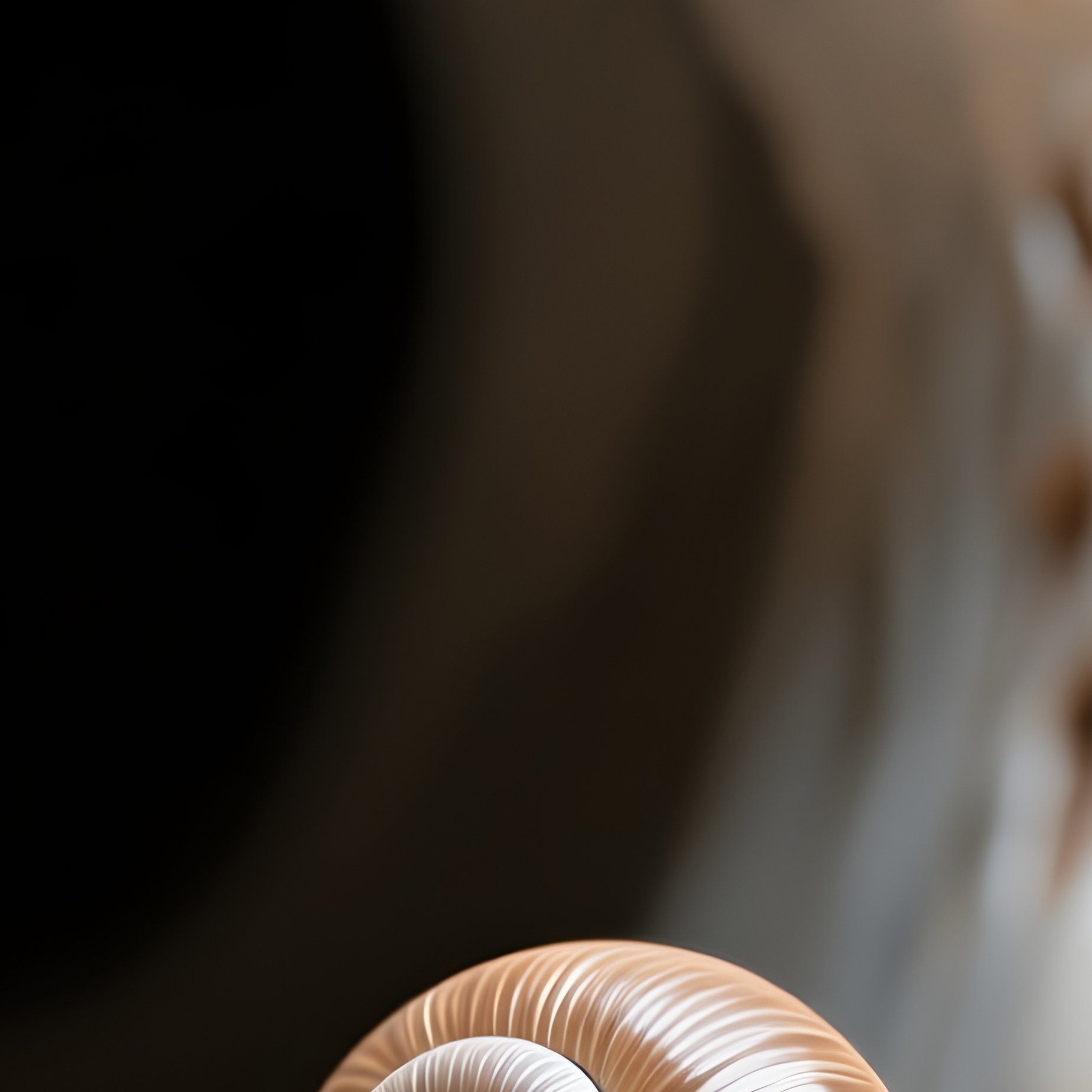 A Tiny Snail Crawling Across A Ceramic Cave Entrance Digital Art - Full Resolution Quality Preview