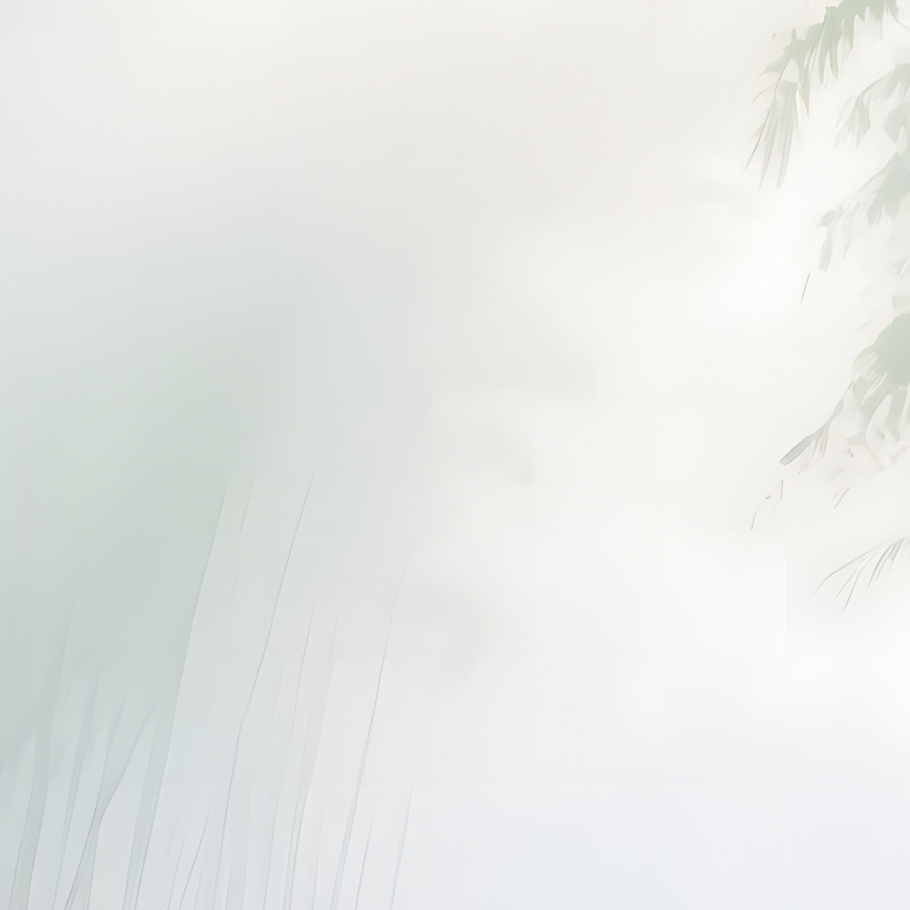 A Tranquil Bamboo Forest Path In Early Morning Mist, Sunlight Filtering Through Tall Stalks, - Full Resolution Quality Preview
