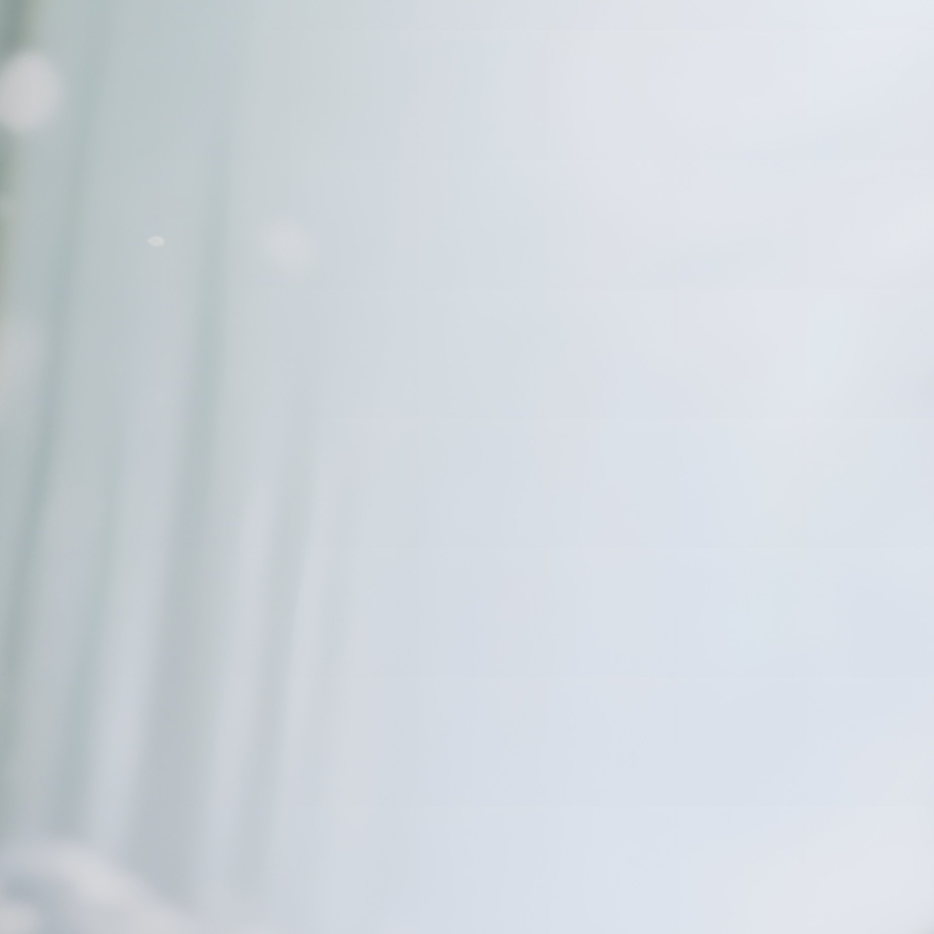 A Tranquil Bamboo Forest Path In Late Winter, Thin Snow On Ground, Delicate Green Shoots Emerging, - Full Resolution Quality Preview