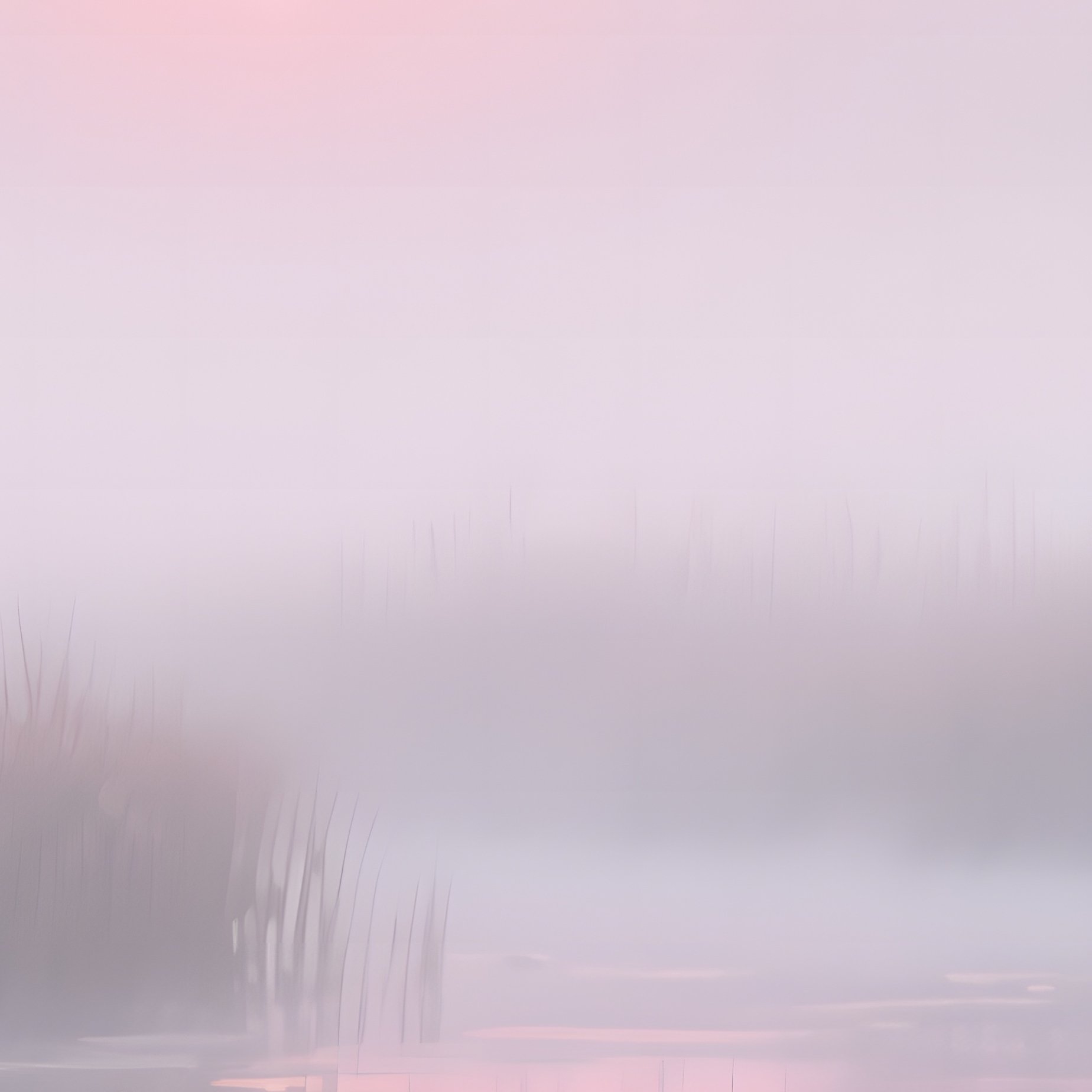 A Tranquil Sunrise Over A Misty Marshland, Cattails Swaying, Watercolor Pastel Pinks And Soft - Full Resolution Quality Preview