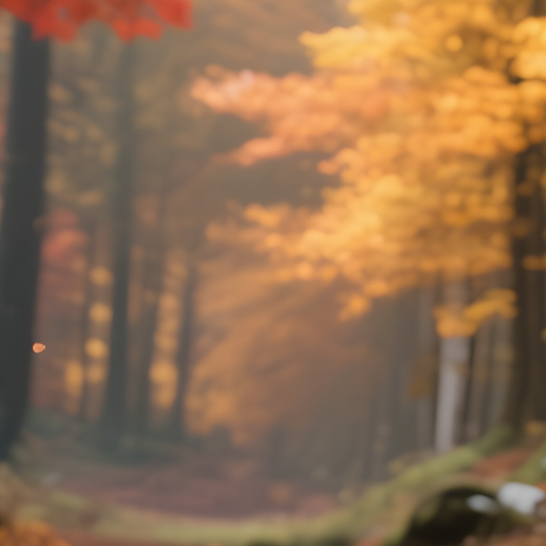 A Vibrant Autumn Forest In The Black Forest Region, Leaves Turning Crimson And Gold, Scattered - Full Resolution Quality Preview
