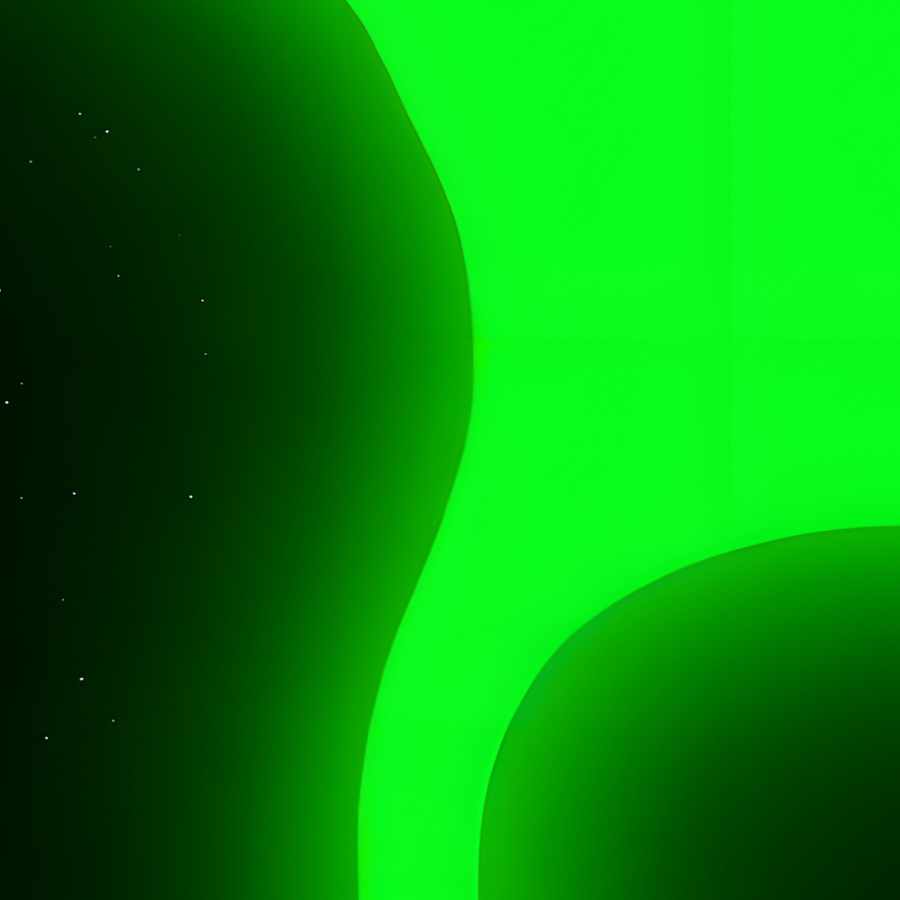 Abstract Pattern Of Neon Green And Black Abstract Neon - Full Resolution Quality Preview