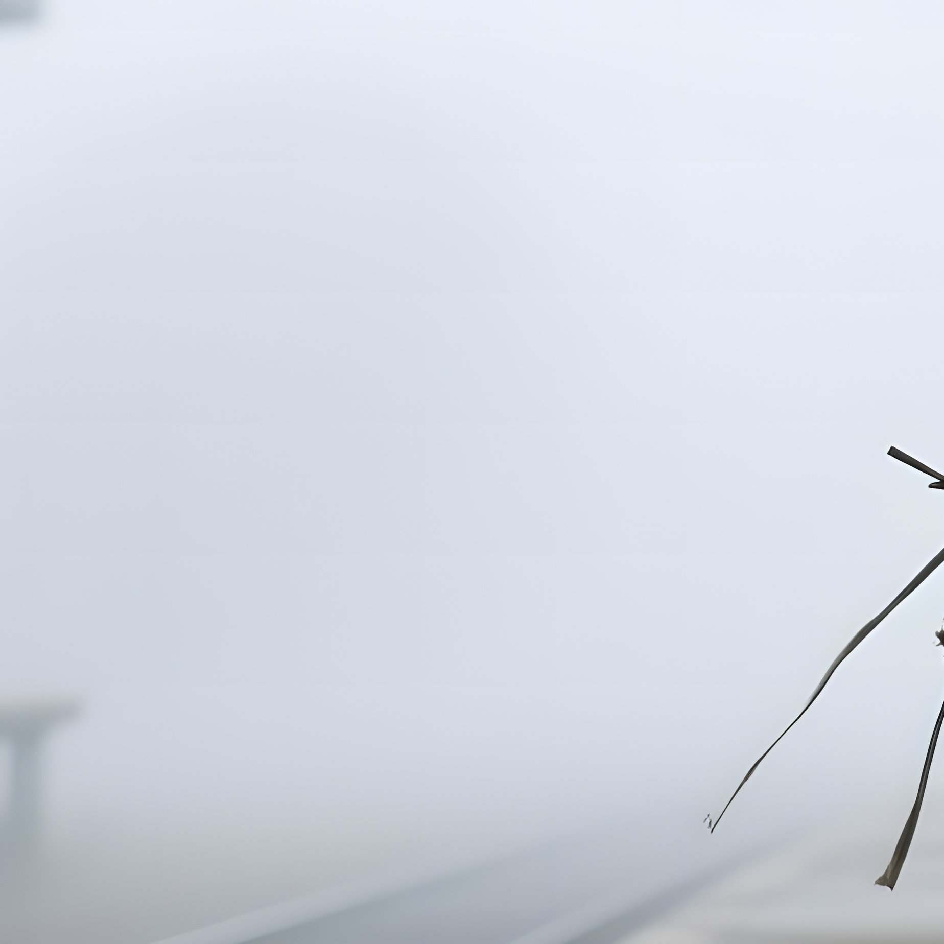 An Abandoned Train Station Platform Covered In Mist, A Solitary Leather Suitcase Lying Next To A - Full Resolution Quality Preview