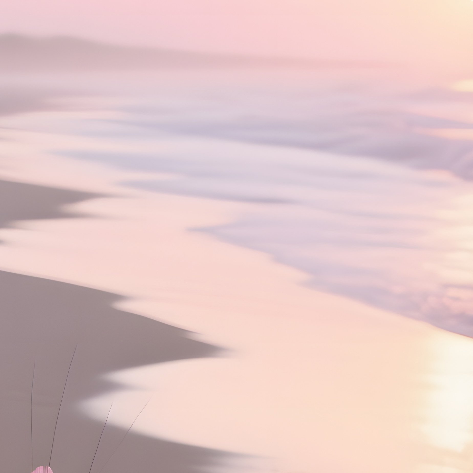 An Early Morning Beach Sunrise Where Delicate Sea Pinks Bloom Among Dune Grasses, Gentle Waves - Full Resolution Quality Preview