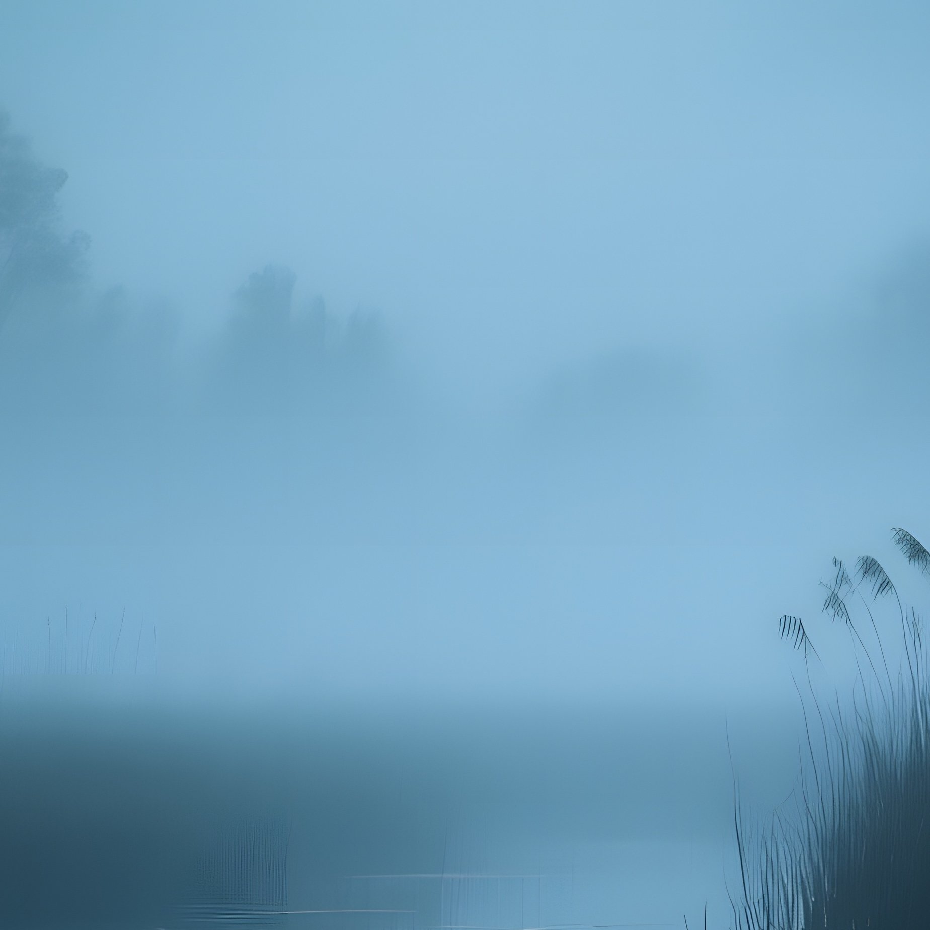 An Eerie Marshland At Night, Fog Rolling Over Still Water That Reflects Pale Moonlight, While - Full Resolution Quality Preview