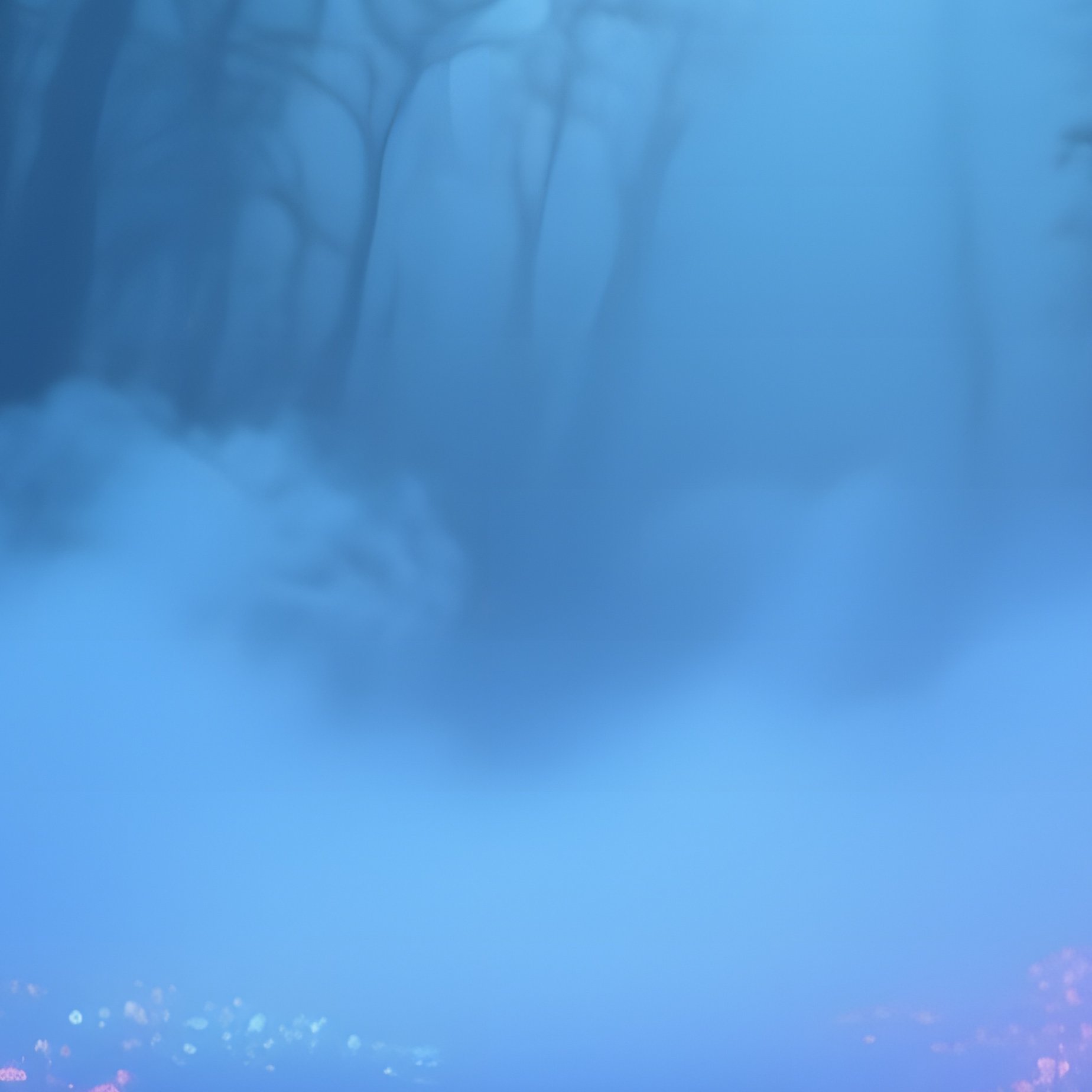 An Enchanted Forest Glade Illuminated By Bioluminescent Flowers Glowing Softly In Blues And - Full Resolution Quality Preview