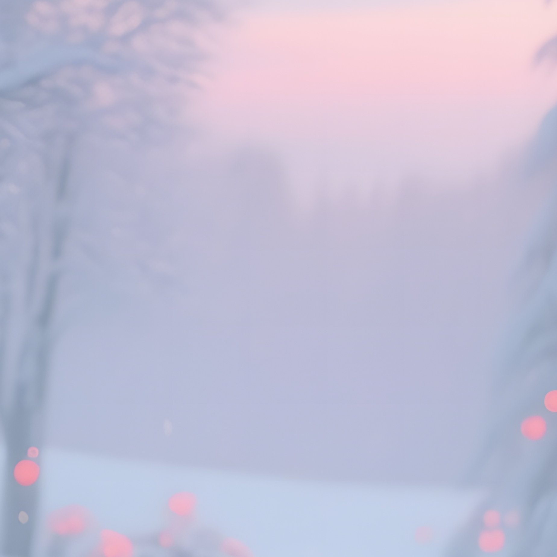 An Ethereal Winter Scene Where Snow Covered Trees Are Dotted With Glowing Pop‑Art Poinsettias In - Full Resolution Quality Preview