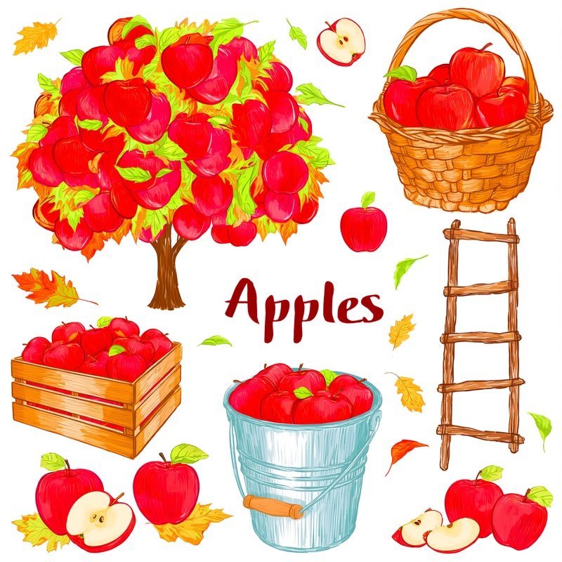 Apples And Apple Related Items Apples Autumn