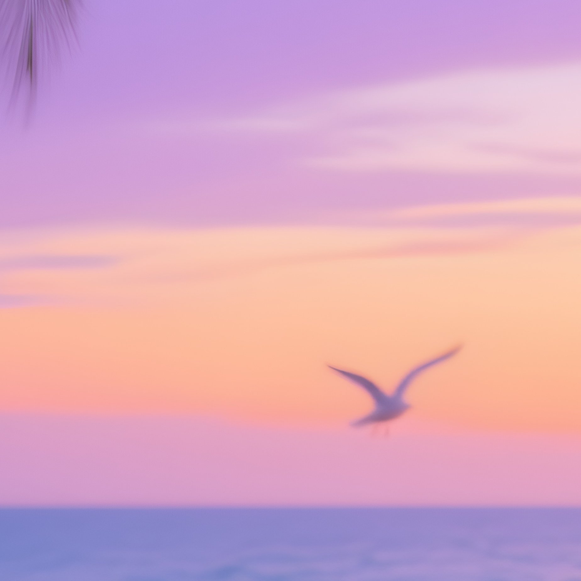 Atmosphere And Leisure The Vibe 5 - Full Resolution Quality Preview