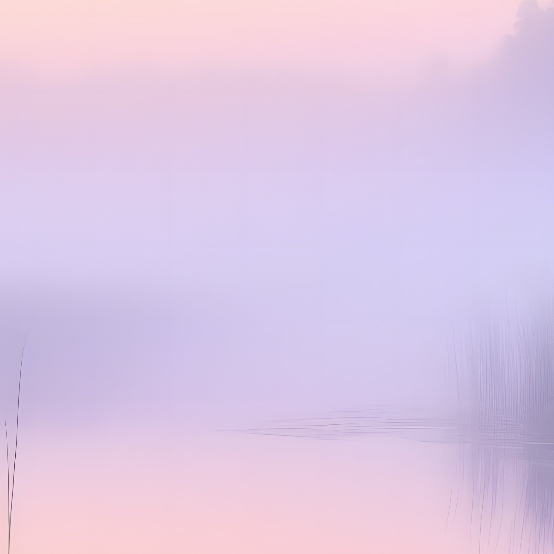 Atmospheric Foggy Morning Marshy Lake - Full Resolution Quality Preview