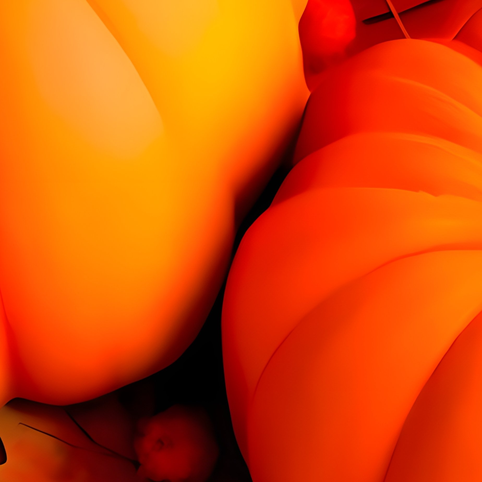 Autumn Themed Arrangement Featuring Pumpkins And Leaves Autumn - Full Resolution Quality Preview