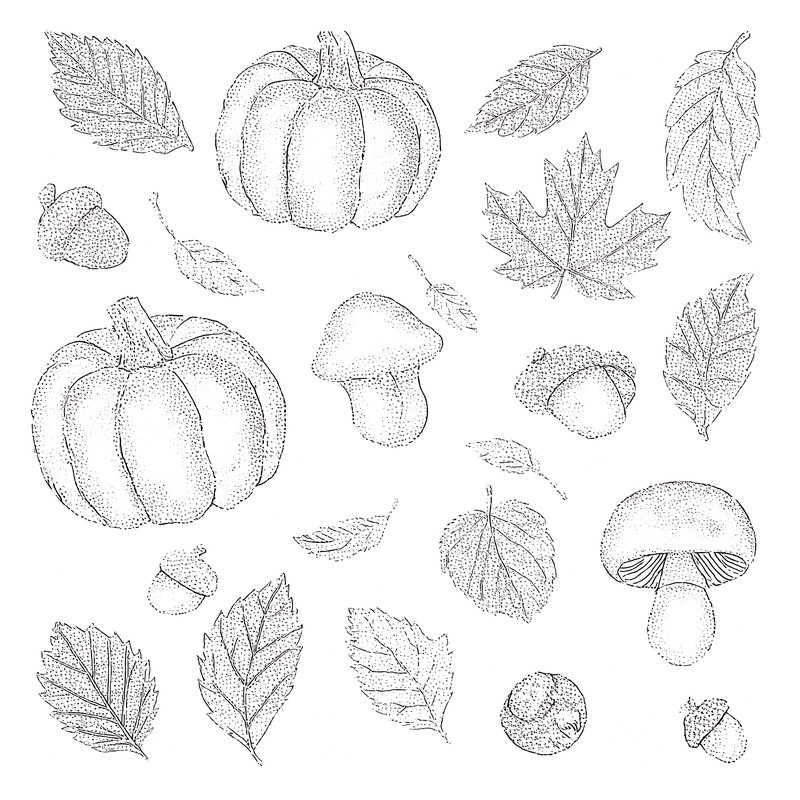 Autumn Themed Elements Including Pumpkins And Leaves Autumn