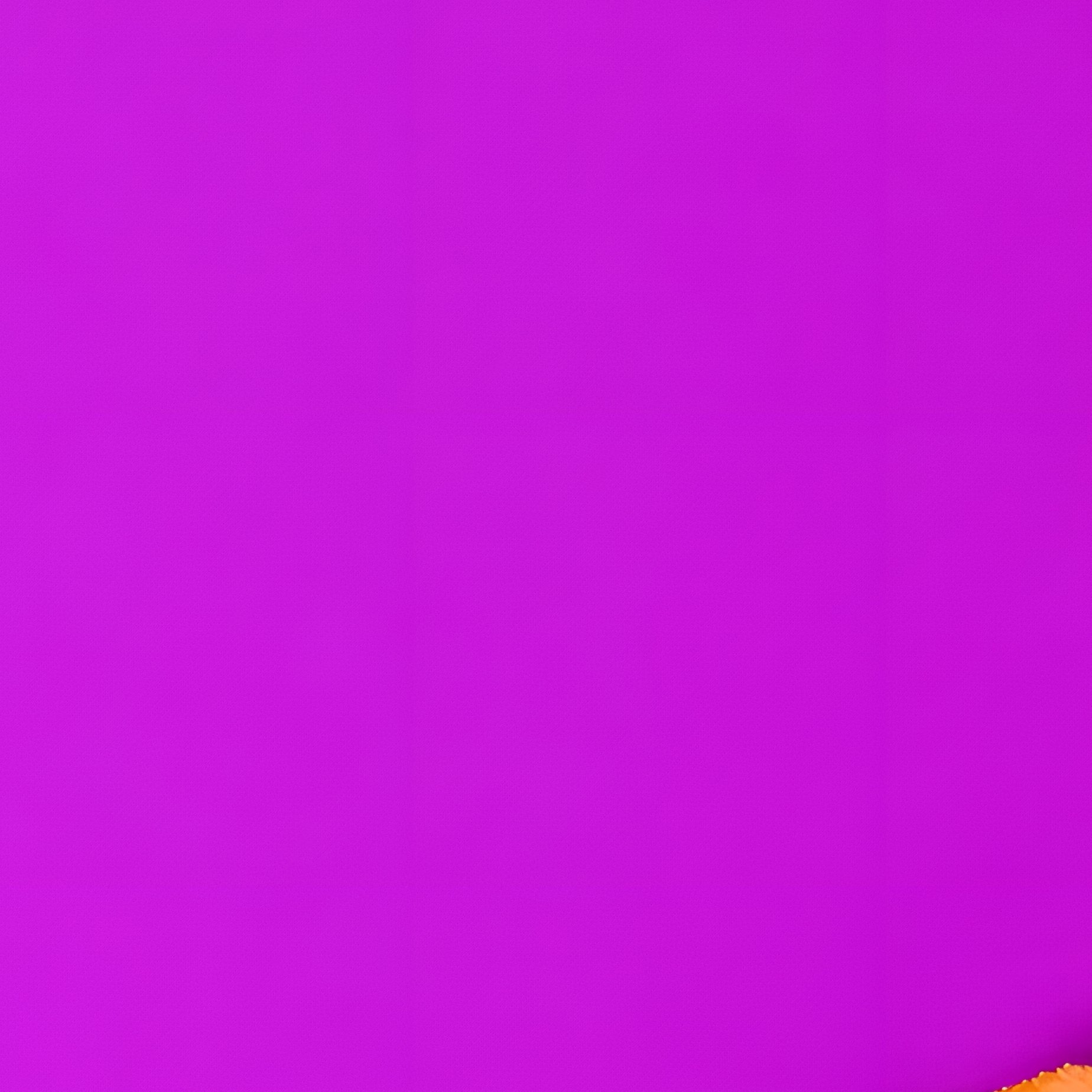 Autumn Themed Still Life Arrangement Autumn Fall - Full Resolution Quality Preview