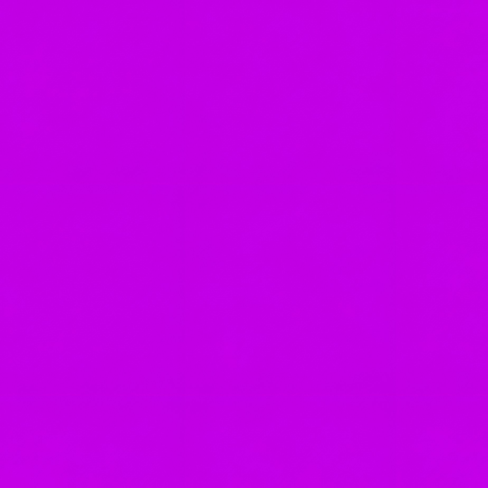 Autumn Themed Still Life Composition Autumn Fall - Full Resolution Quality Preview