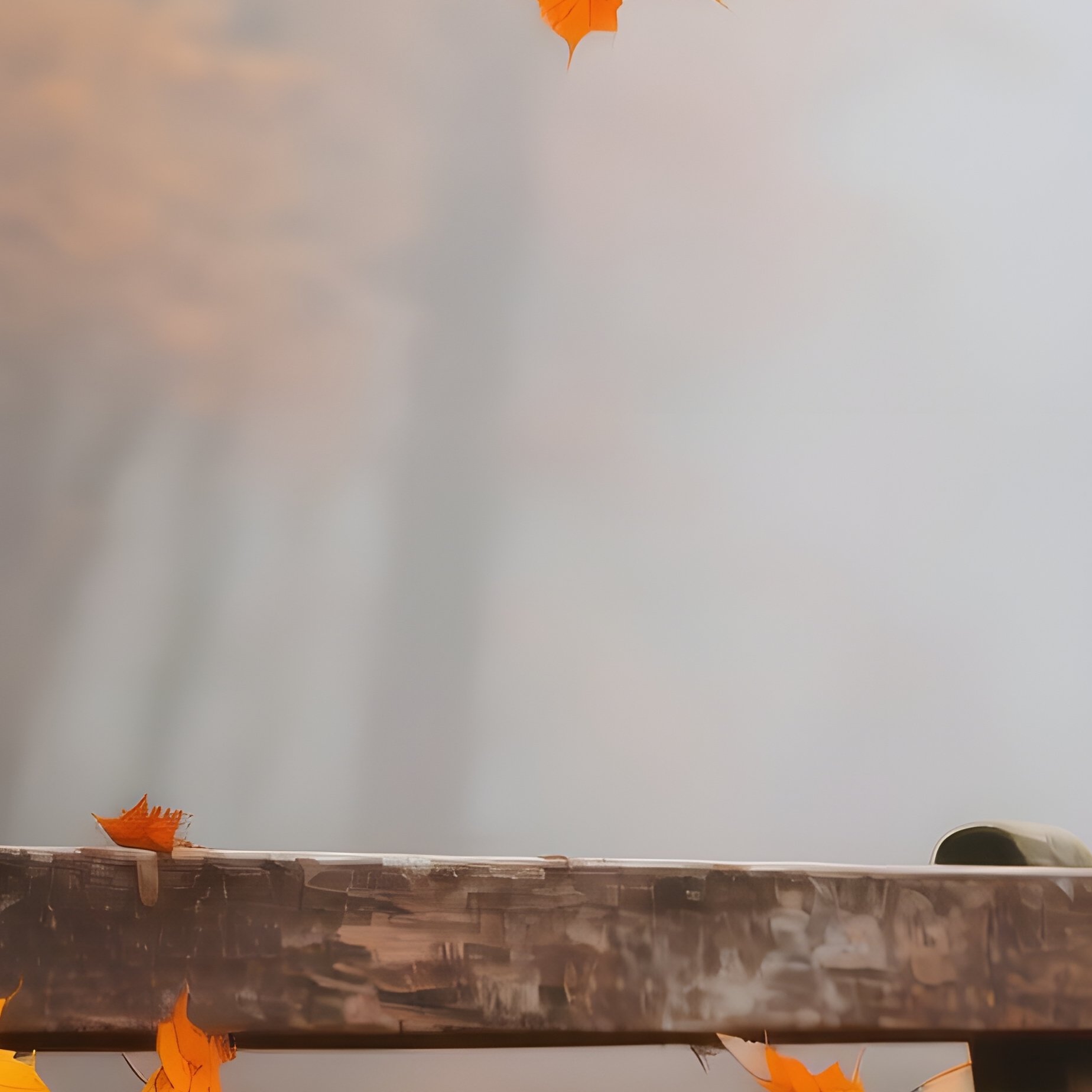 Autumnal Scene With A Wooden Bench Autumn Bench - Full Resolution Quality Preview