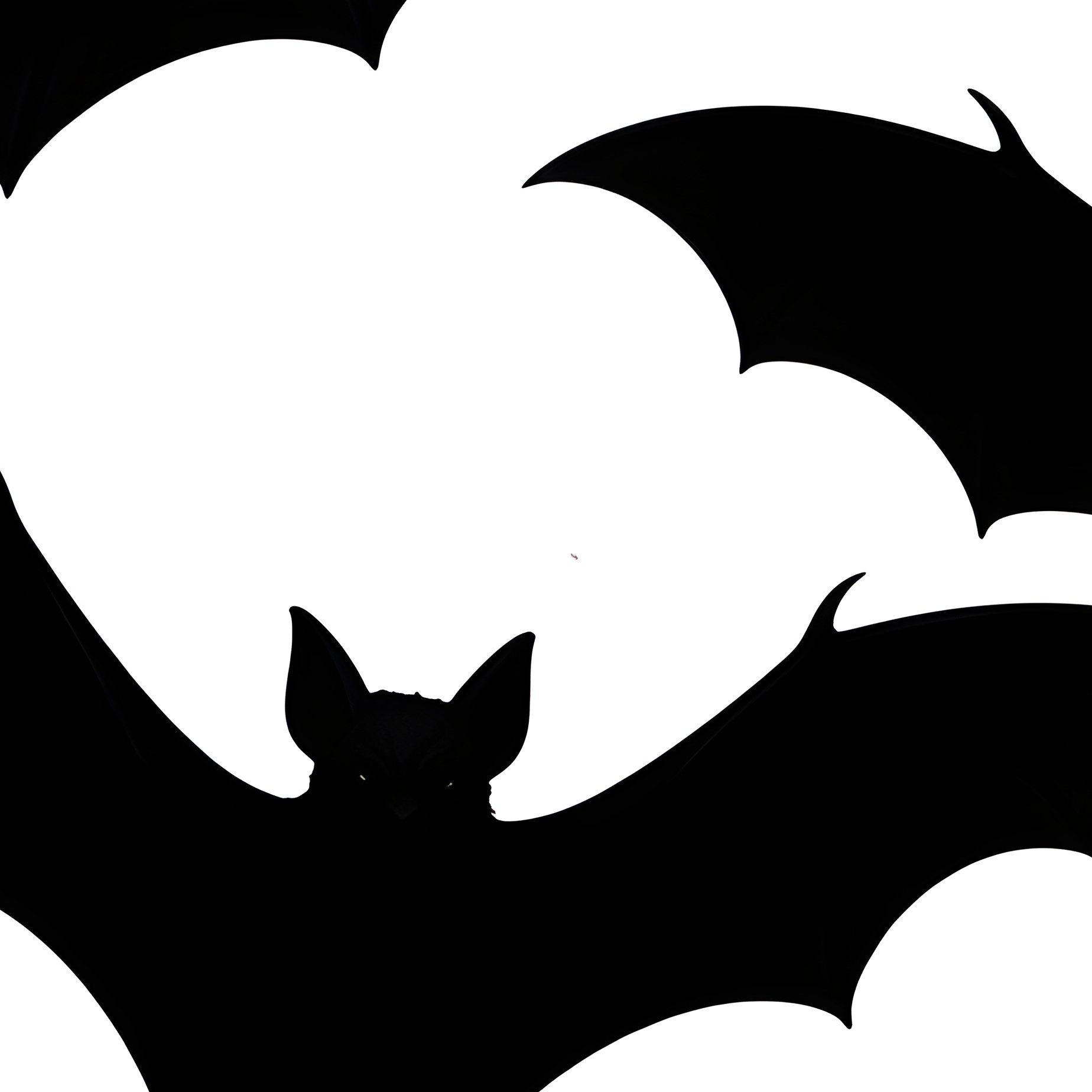 Bats In Flight Bats Silhouette - Full Resolution Quality Preview