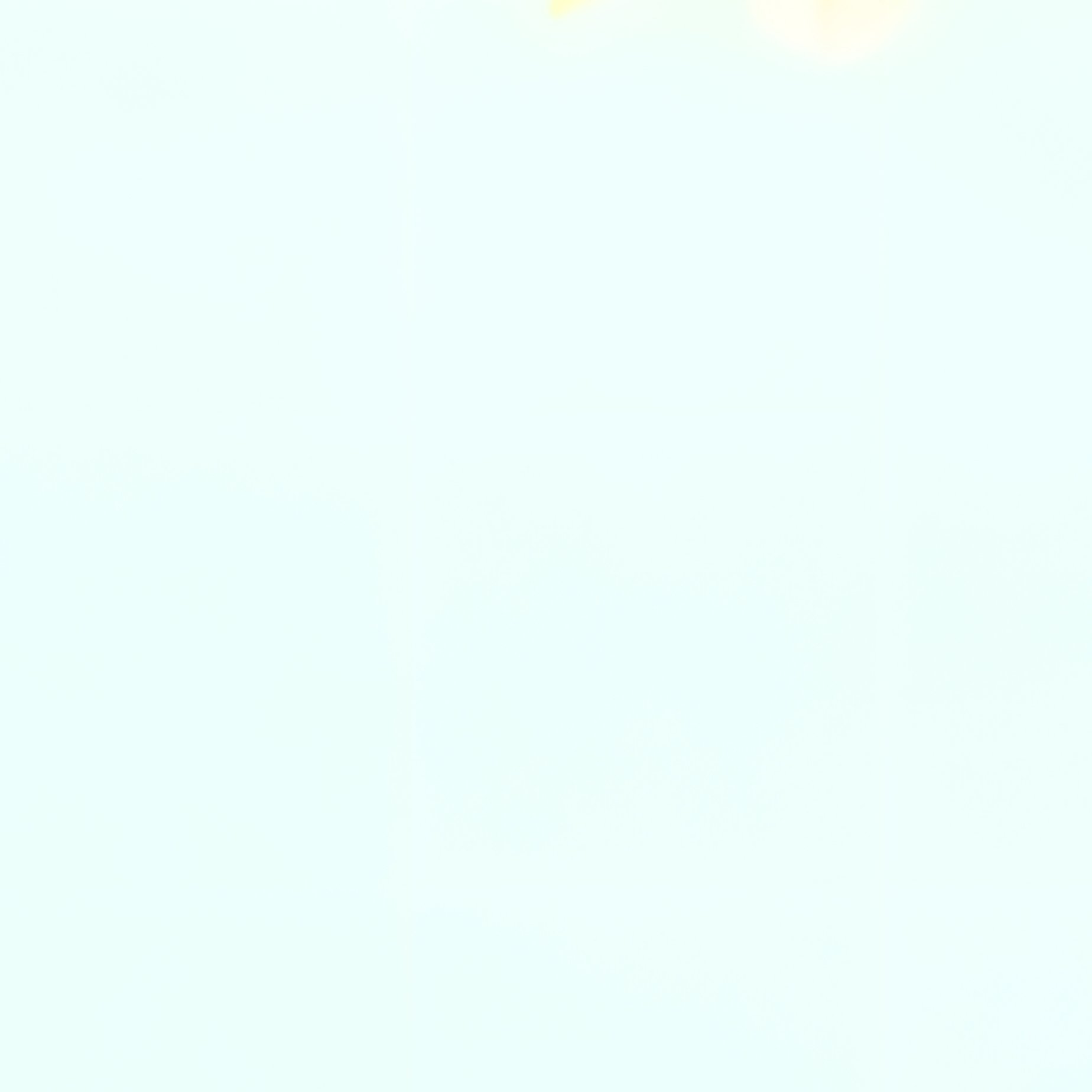 Blurred Foliage Of Trees Nature Abstract - Full Resolution Quality Preview