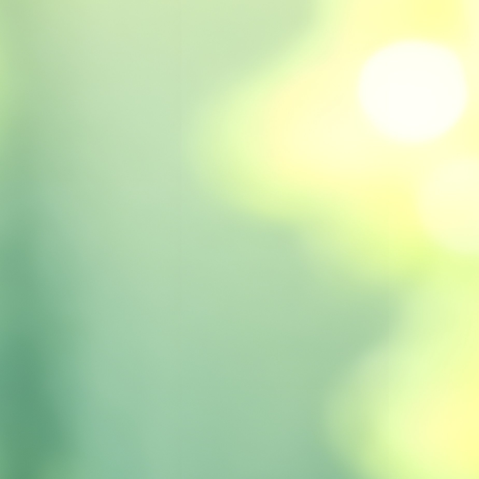 Blurred Natural Background Nature Bokeh - Full Resolution Quality Preview