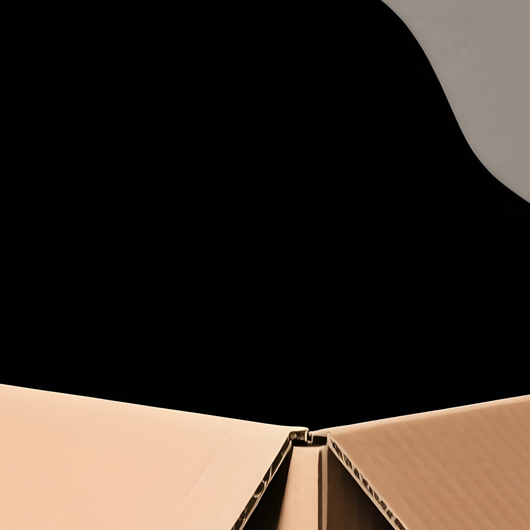 Cat Ragamuffin Head Sticking Out Of Box Abstract - Full Resolution Quality Preview