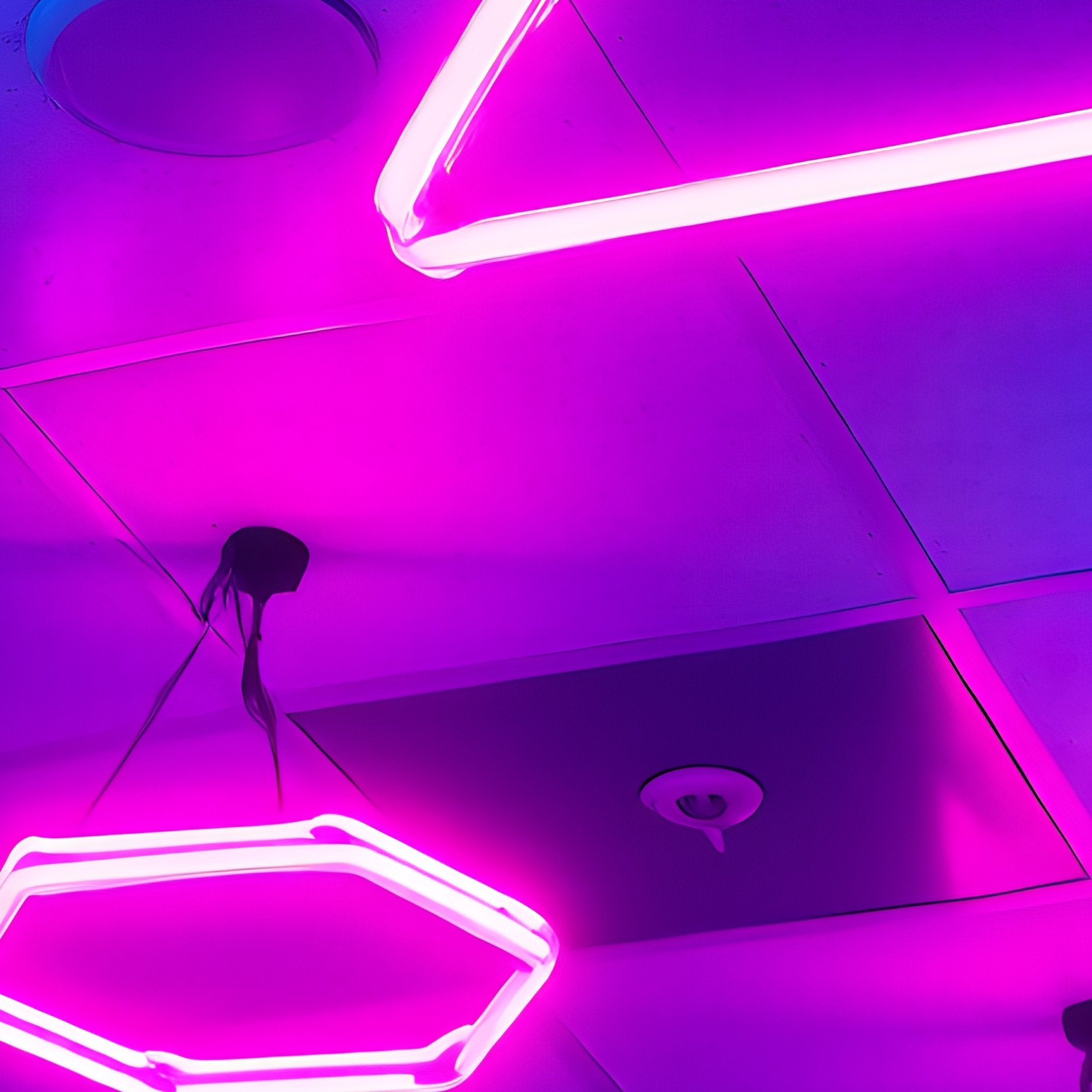 Ceiling With Acoustic Tiles And Suspended Geometric Neon Lights - Full Resolution Quality Preview