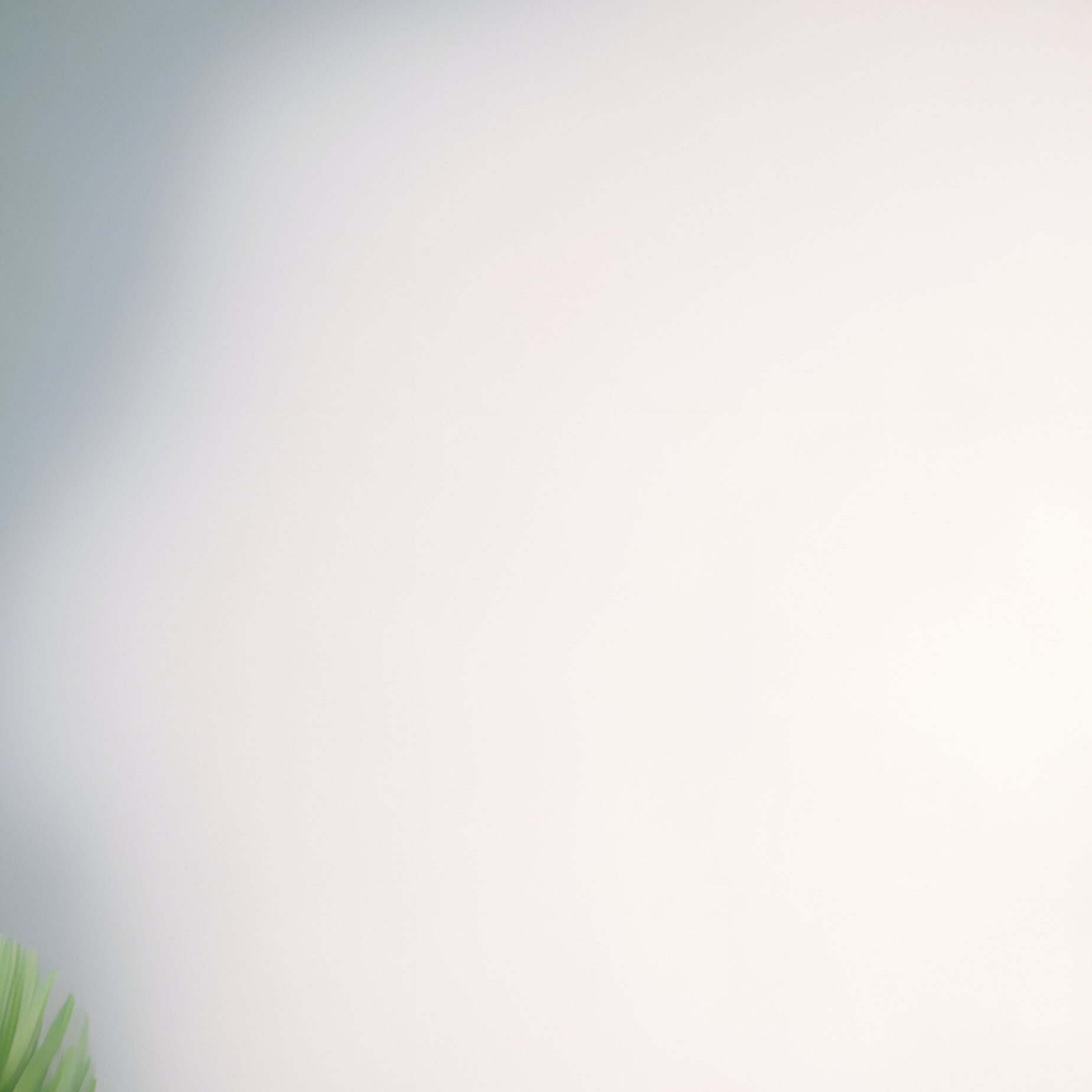 Christmas Garland Christmas Garland - Full Resolution Quality Preview