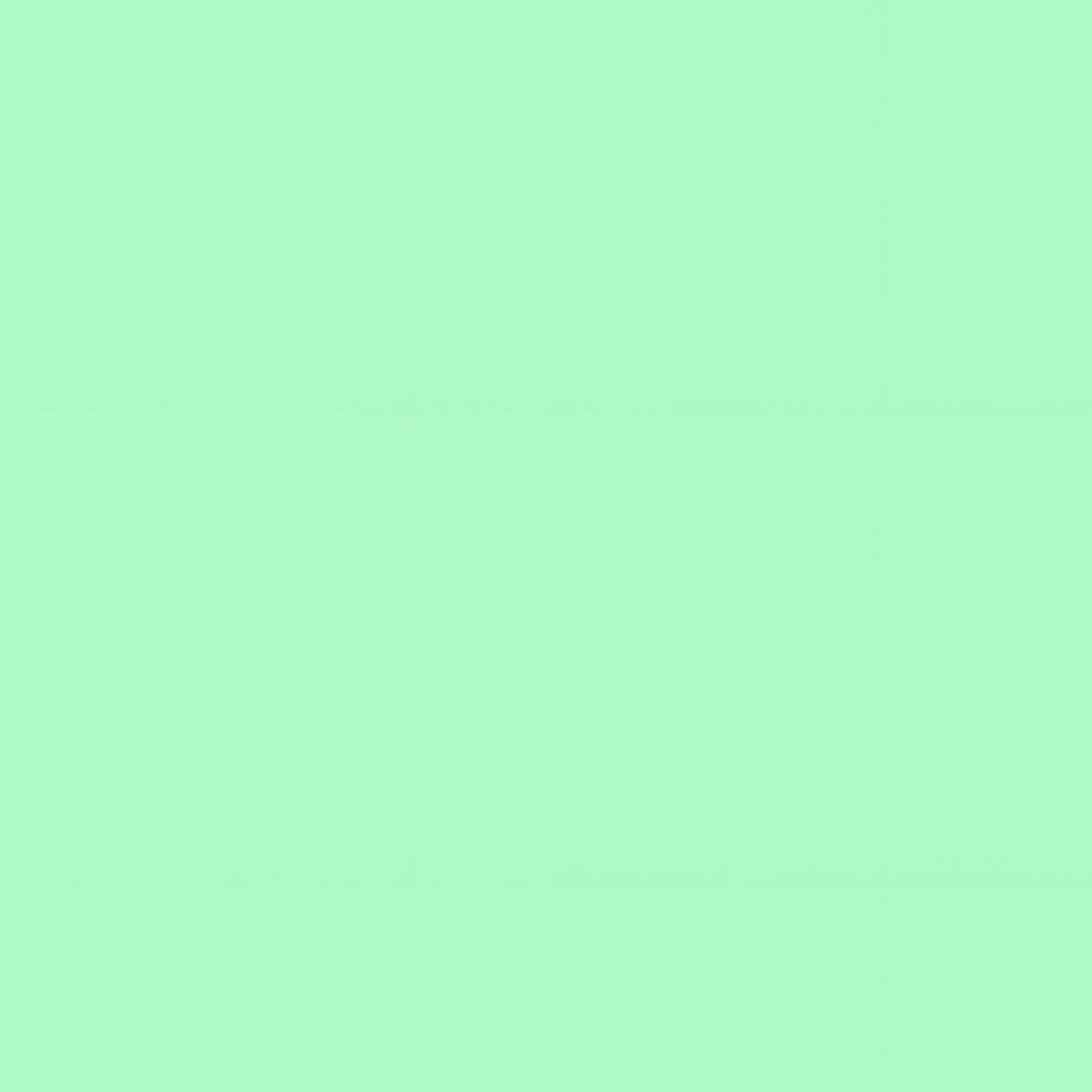 Christmas Themed Still Life Composition Christmas Holiday - Full Resolution Quality Preview