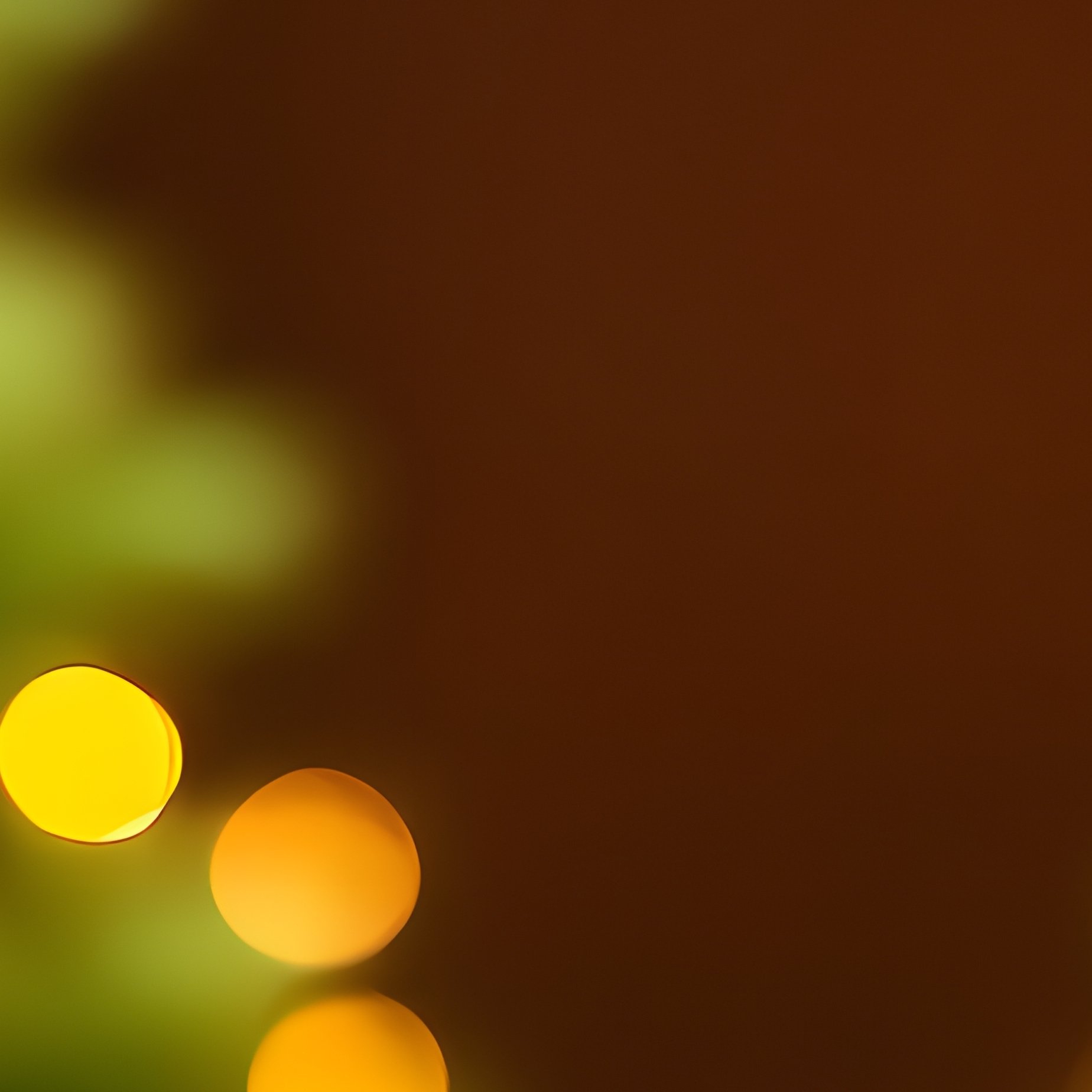 Christmas Trees Decorated With Lights Christmas Festival - Full Resolution Quality Preview