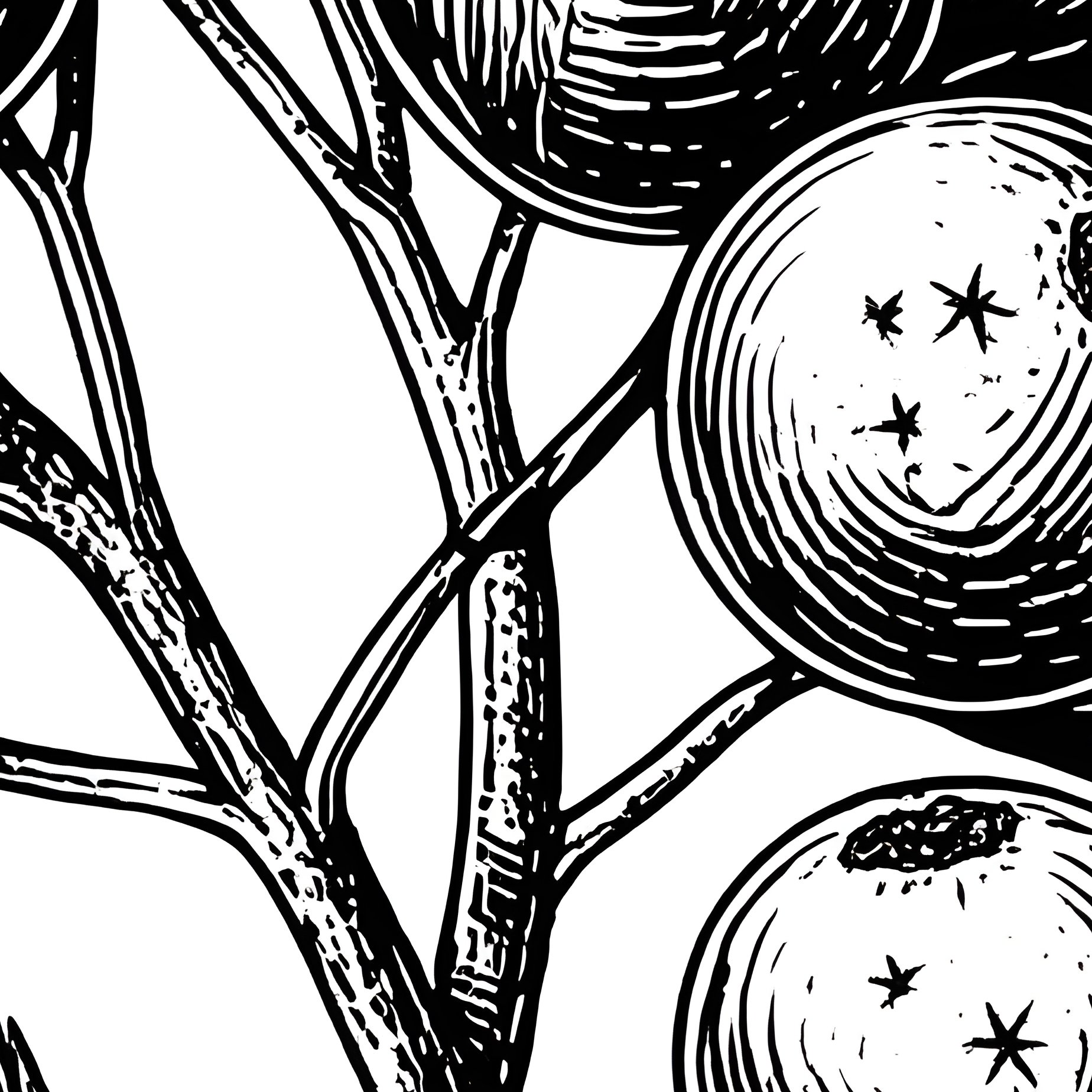 Cluster Of Berries On A Branch Berries Leaves - Full Resolution Quality Preview