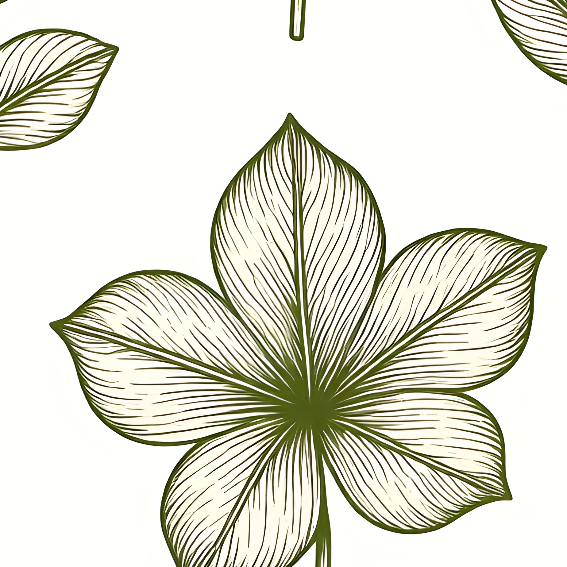 Collection Of Botanical Illustrations Botanical Illustration - Full Resolution Quality Preview