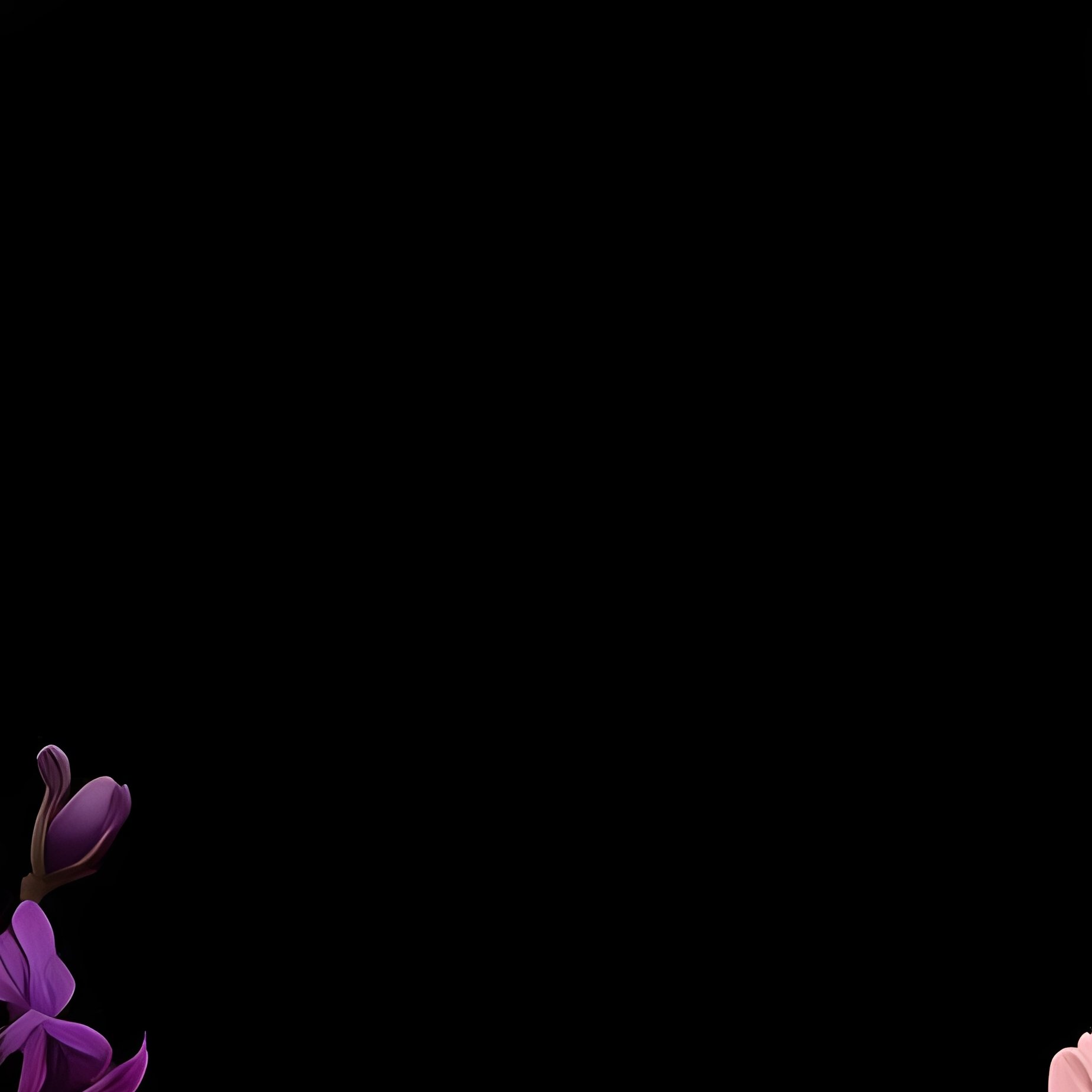 Collection Of Floral Illustrations Flowers Digital Art - Full Resolution Quality Preview