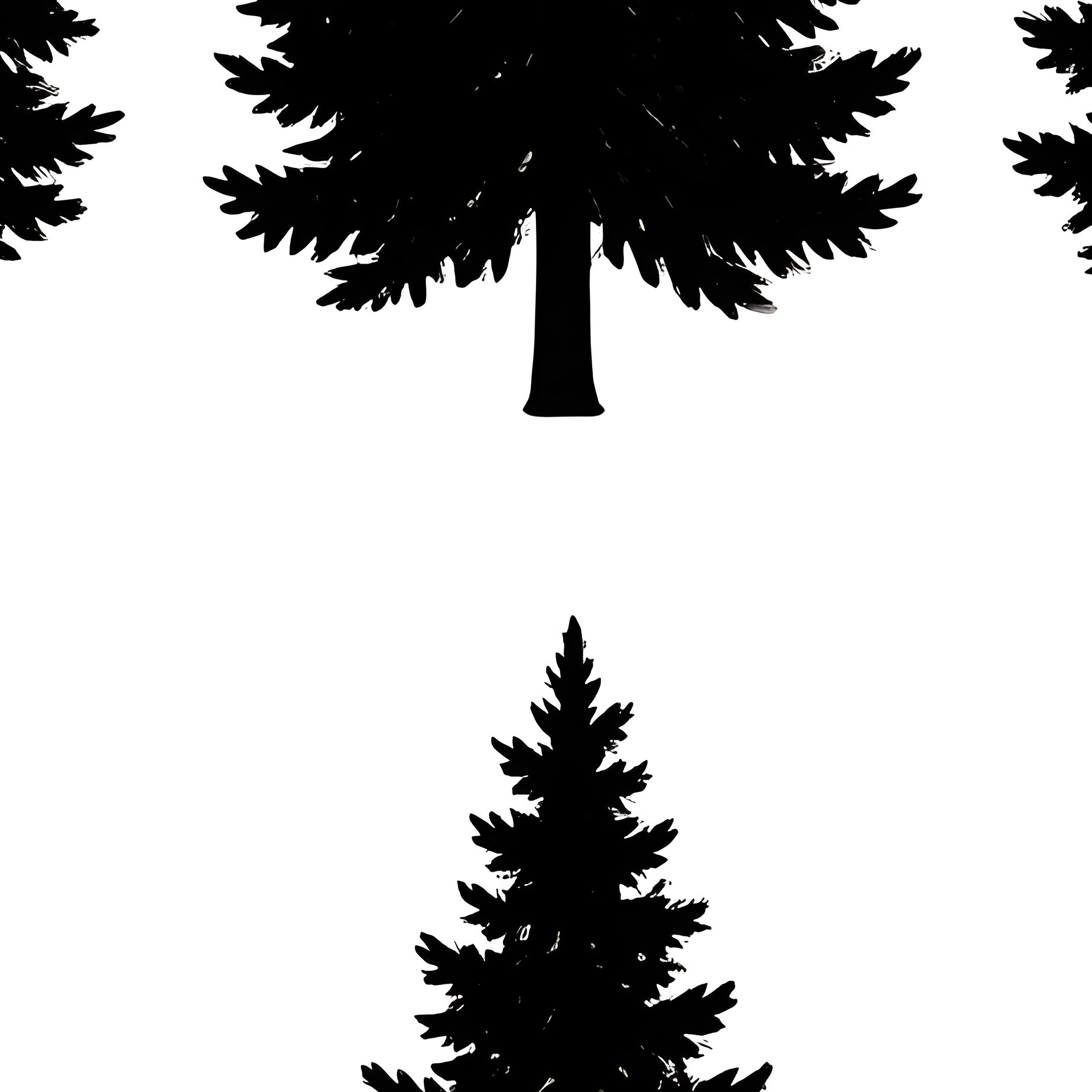 Collection Of Pine Tree Silhouettes Pine Tree Silhouette - Full Resolution Quality Preview