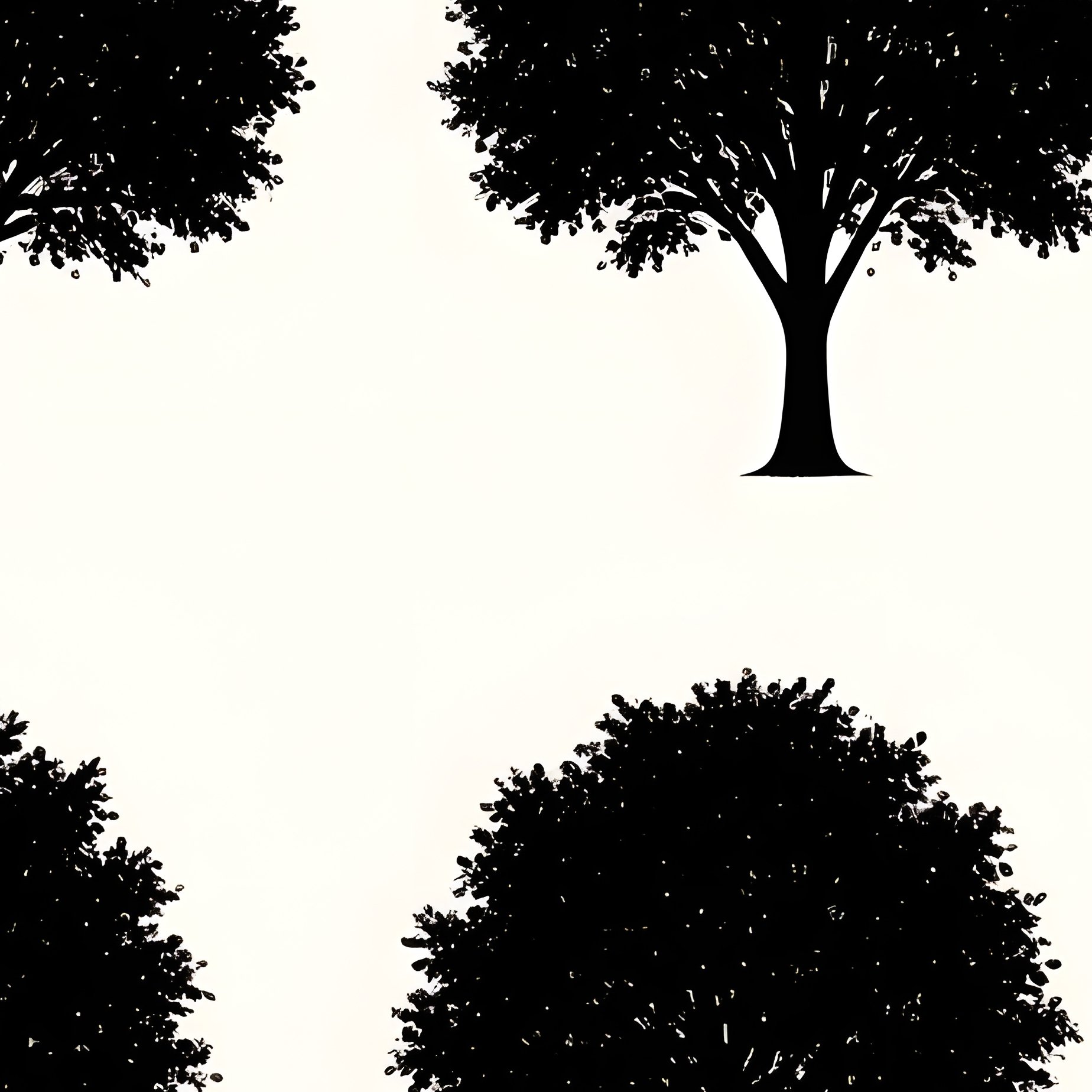 Collection Of Tree Silhouettes Trees Silhouette - Full Resolution Quality Preview