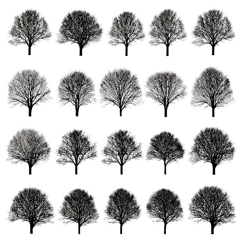 Collection Of Tree Silhouettes Trees Silhouettes