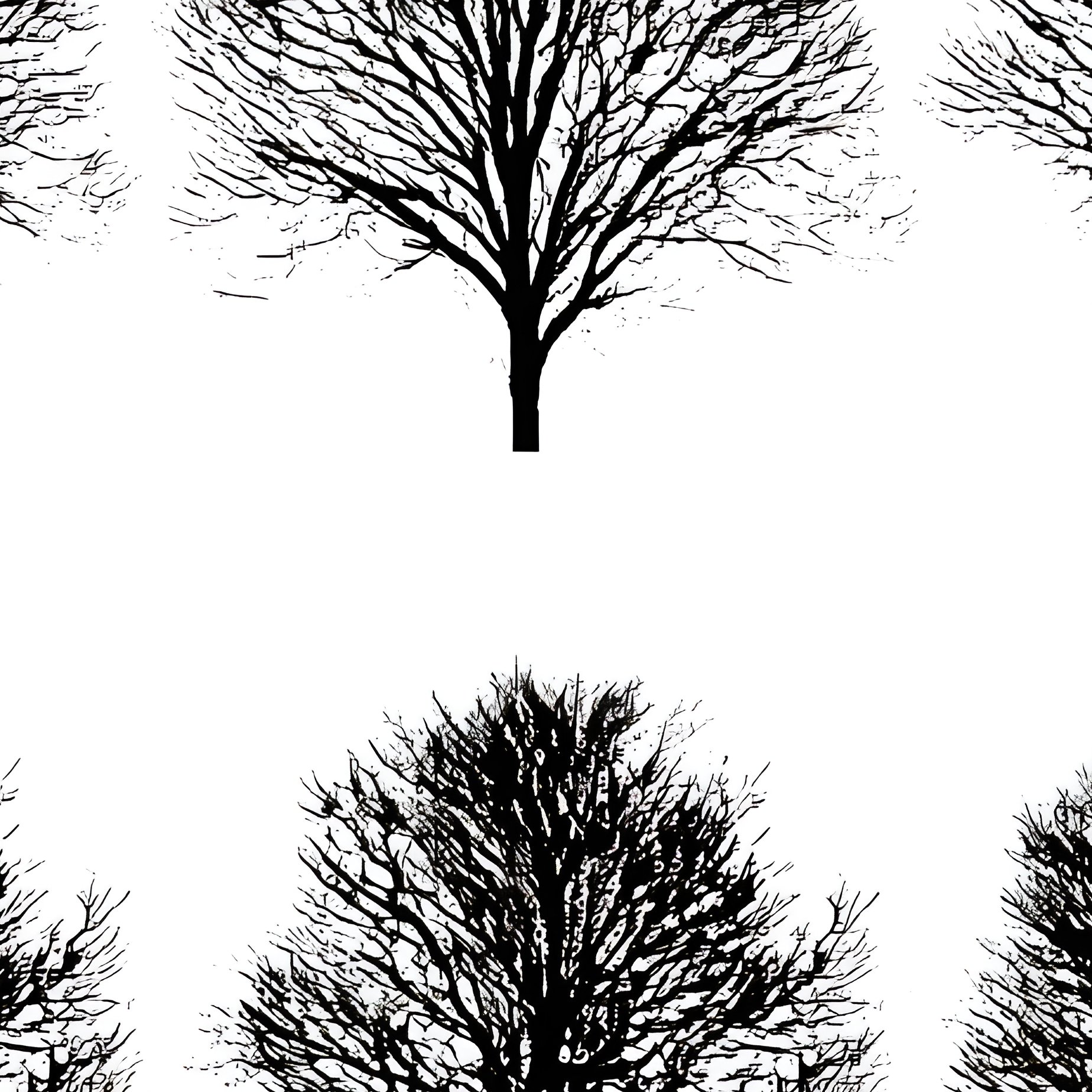 Collection Of Tree Silhouettes Trees Silhouettes - Full Resolution Quality Preview