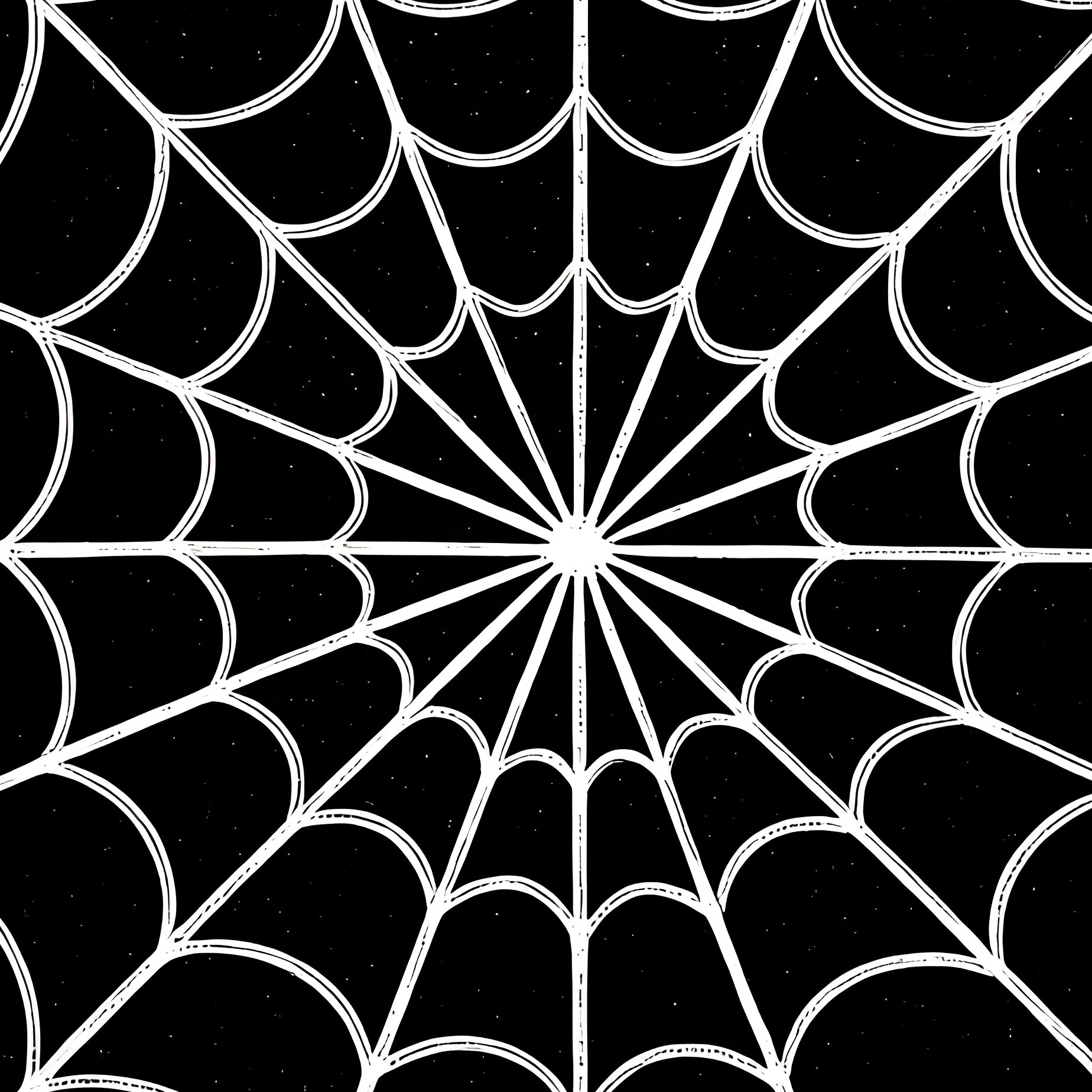 Decorative Corner Design Featuring A Spiderweb Corner Design - Full Resolution Quality Preview