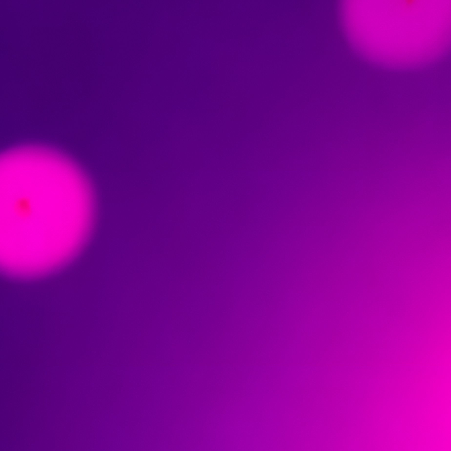 Diwali Celebration Theme Diwali Festival - Full Resolution Quality Preview