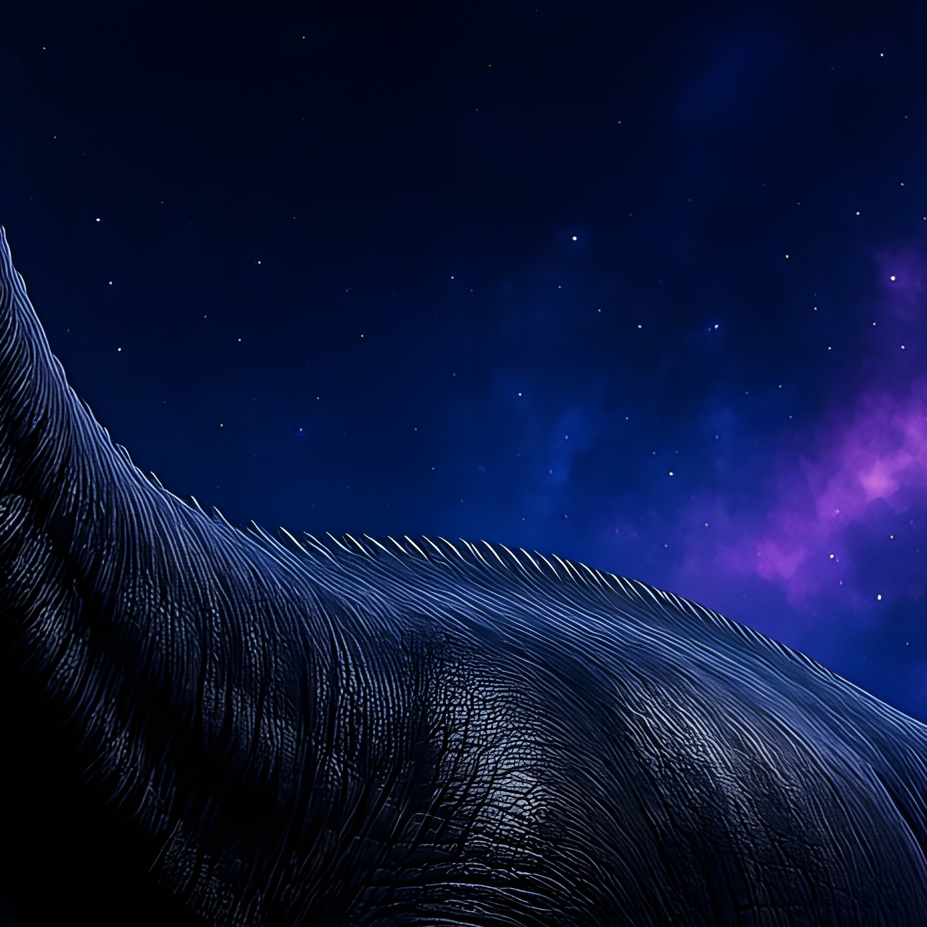 Dreadnoughtus Digital Art - Full Resolution Quality Preview