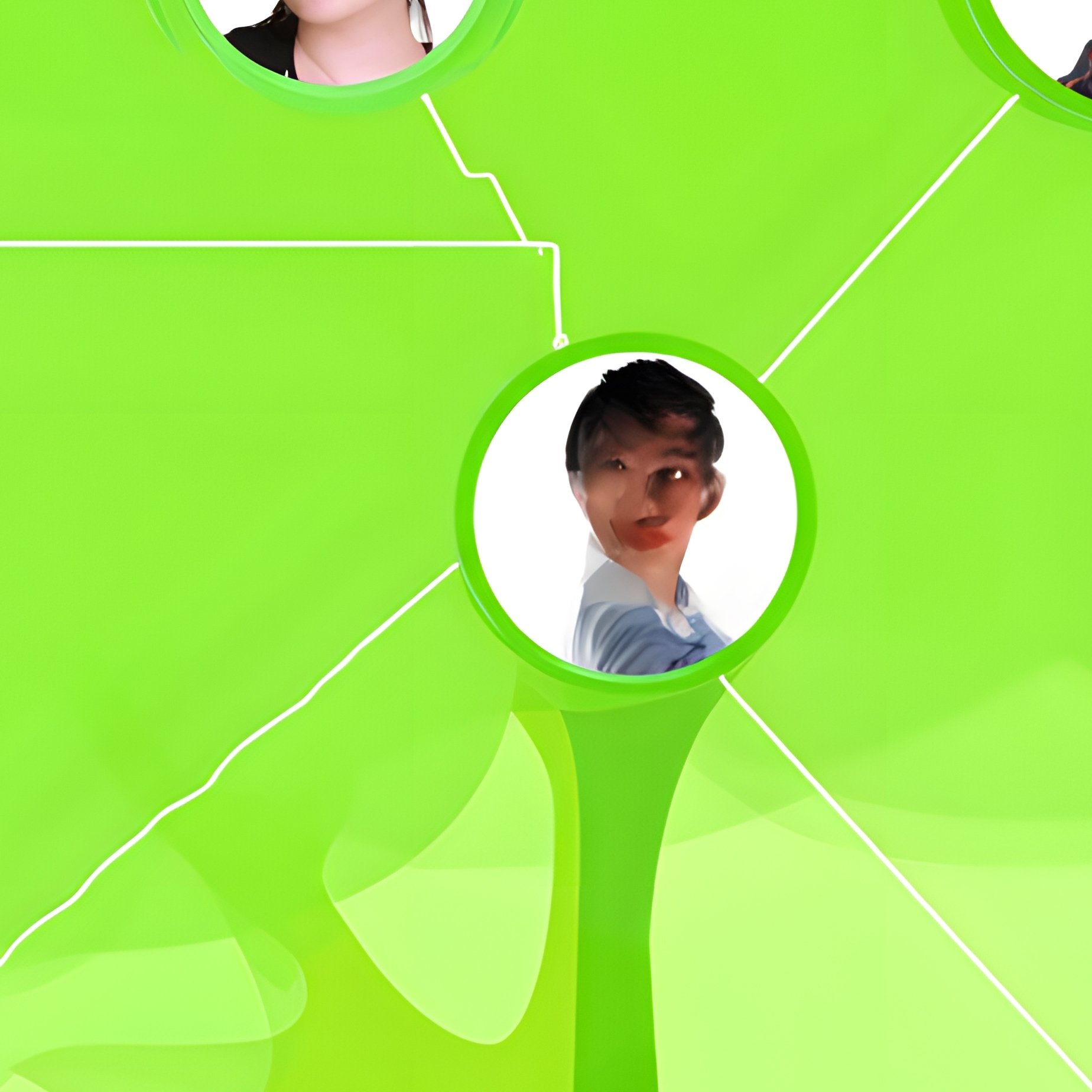 Family Tree Family Tree - Full Resolution Quality Preview