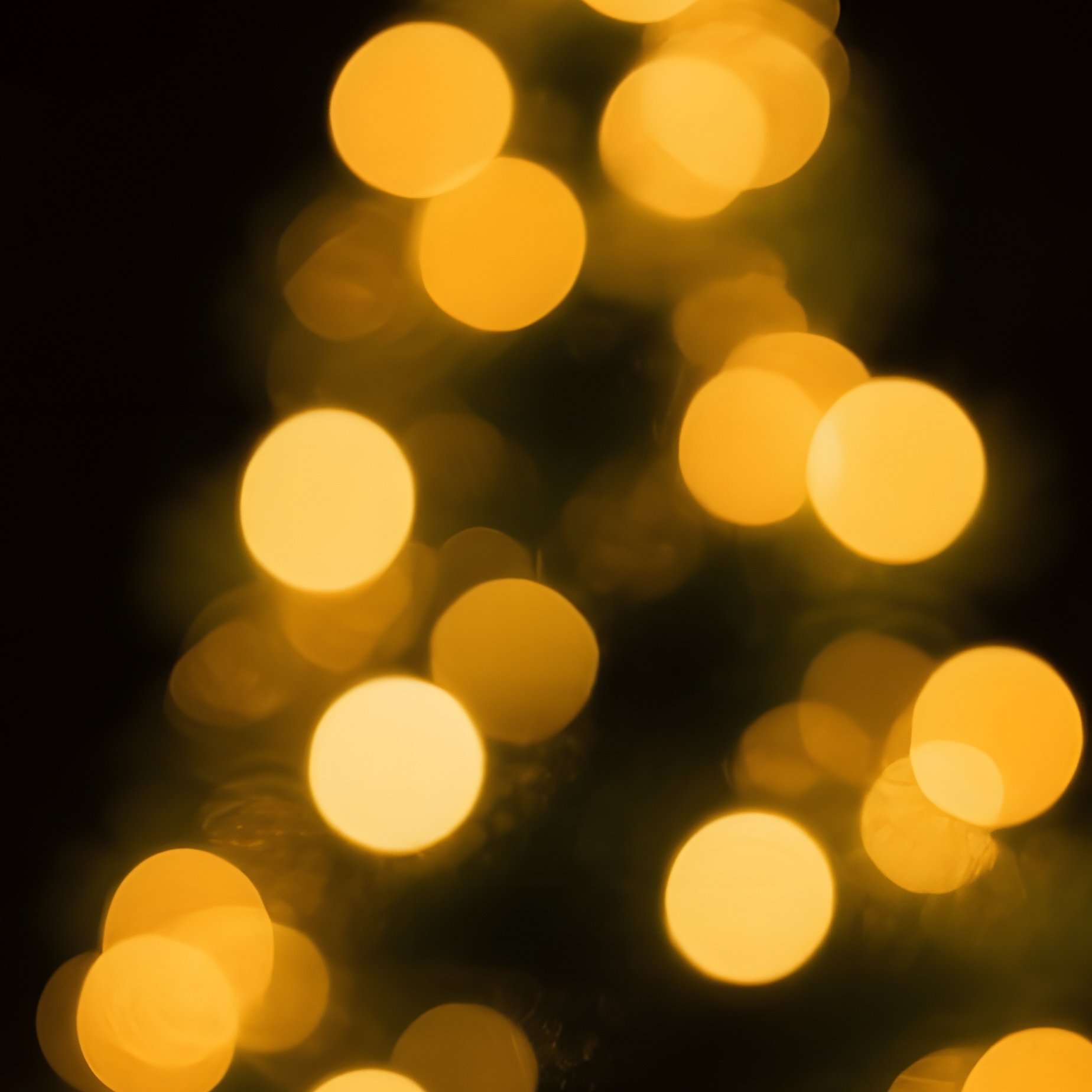 Festive Light Arrangement Christmas Bokeh - Full Resolution Quality Preview